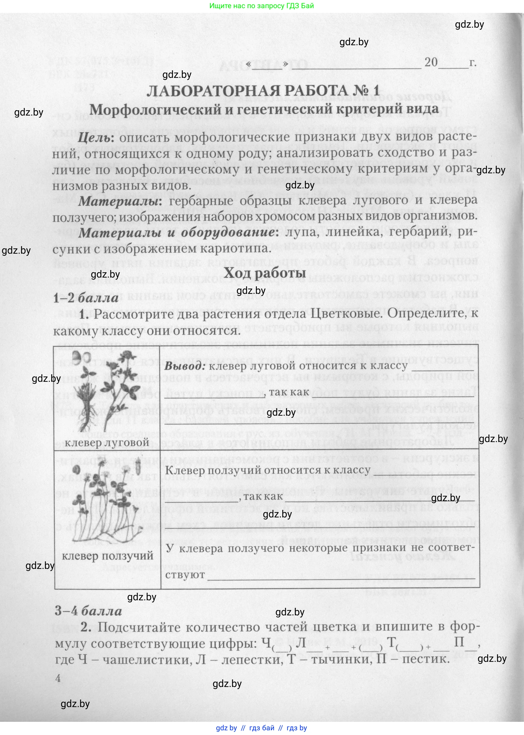 Биология, 11 класс тетрадь для практических и лабораторных работ, экскурсий, автор: Новик Ирина Михайловна, издательство Сэр-Вит, Минск, 2019, розового цвета, страница 4