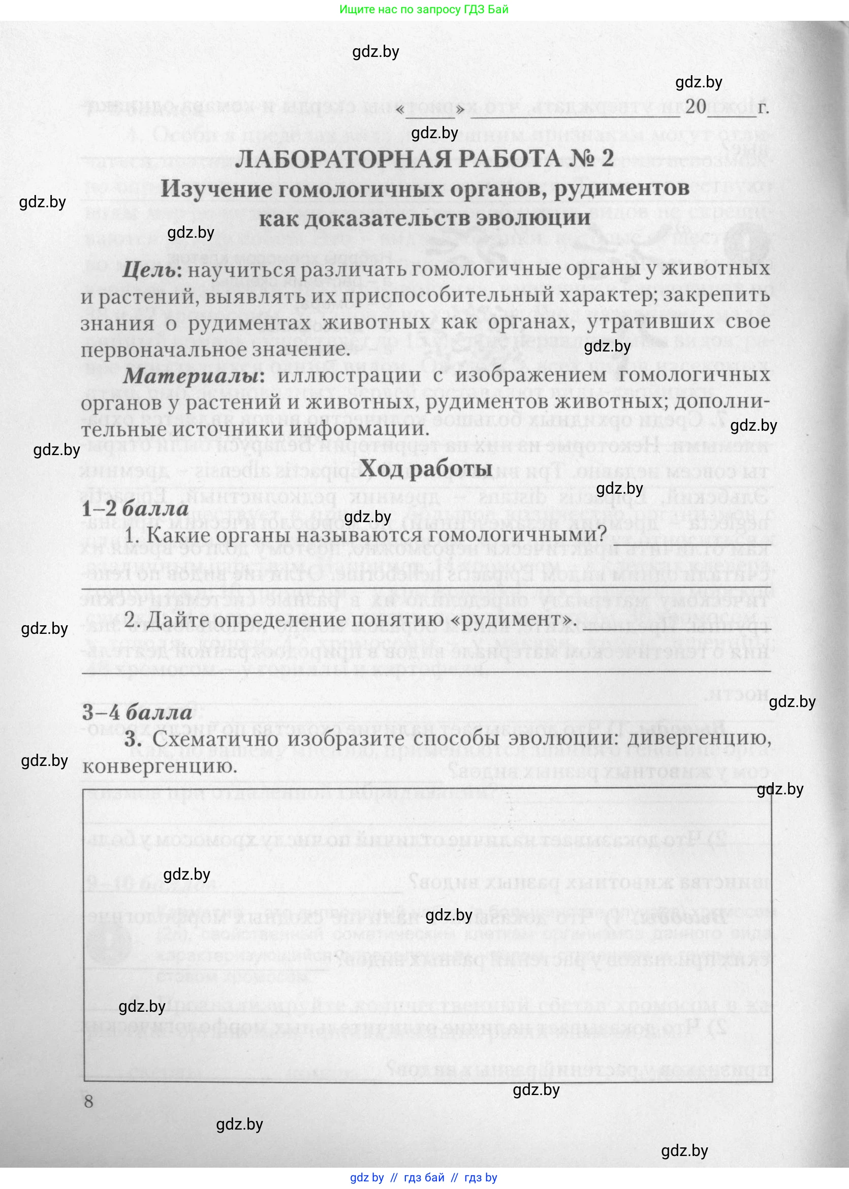 Биология, 11 класс тетрадь для практических и лабораторных работ, экскурсий, автор: Новик Ирина Михайловна, издательство Сэр-Вит, Минск, 2019, розового цвета, страница 8