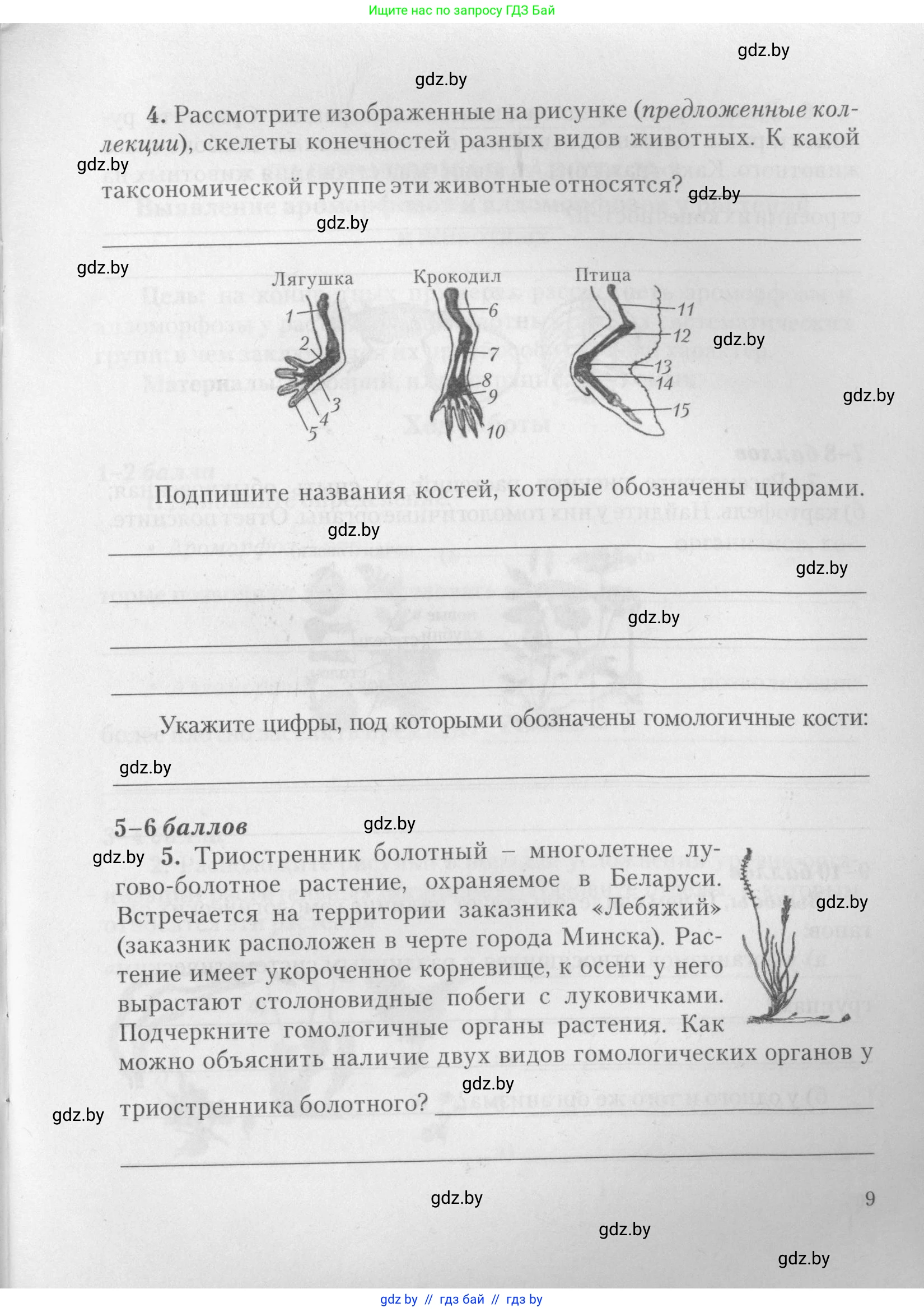 Биология, 11 класс тетрадь для практических и лабораторных работ, экскурсий, автор: Новик Ирина Михайловна, издательство Сэр-Вит, Минск, 2019, розового цвета, страница 9