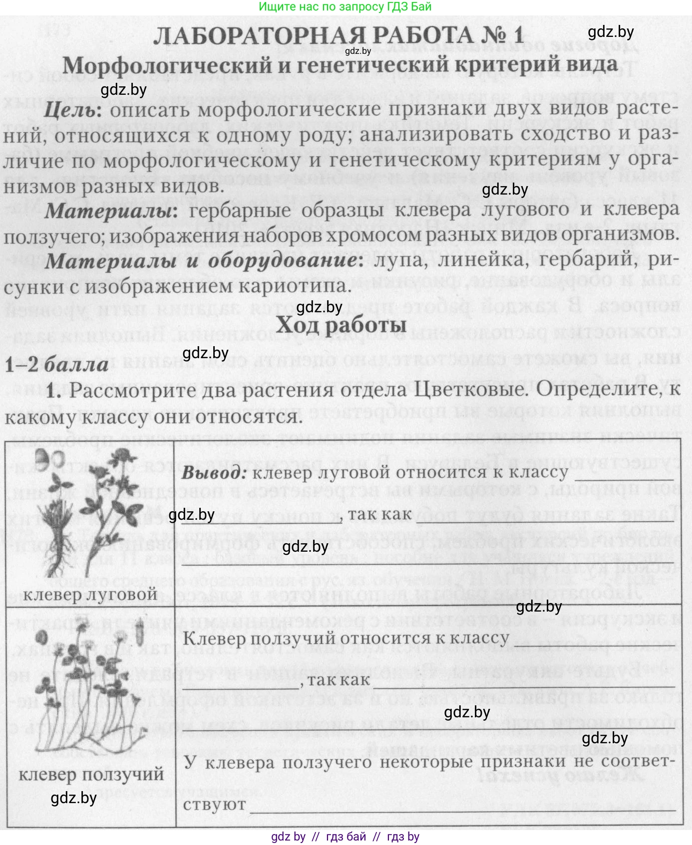 Биология, 11 класс тетрадь для практических и лабораторных работ, экскурсий, автор: Новик Ирина Михайловна, издательство Сэр-Вит, Минск, 2019, розового цвета, страница 4, номер 1, Условие