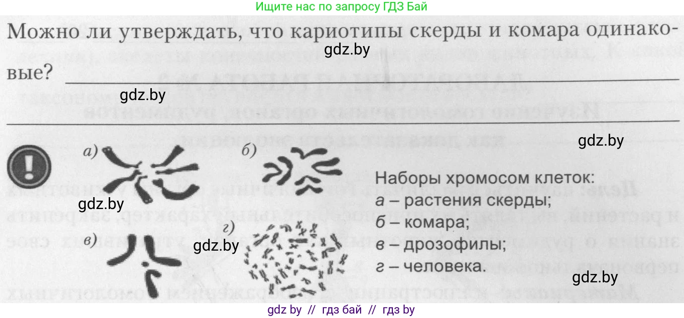 Биология, 11 класс тетрадь для практических и лабораторных работ, экскурсий, автор: Новик Ирина Михайловна, издательство Сэр-Вит, Минск, 2019, розового цвета, страница 6, номер 6, Условие (продолжение 2)