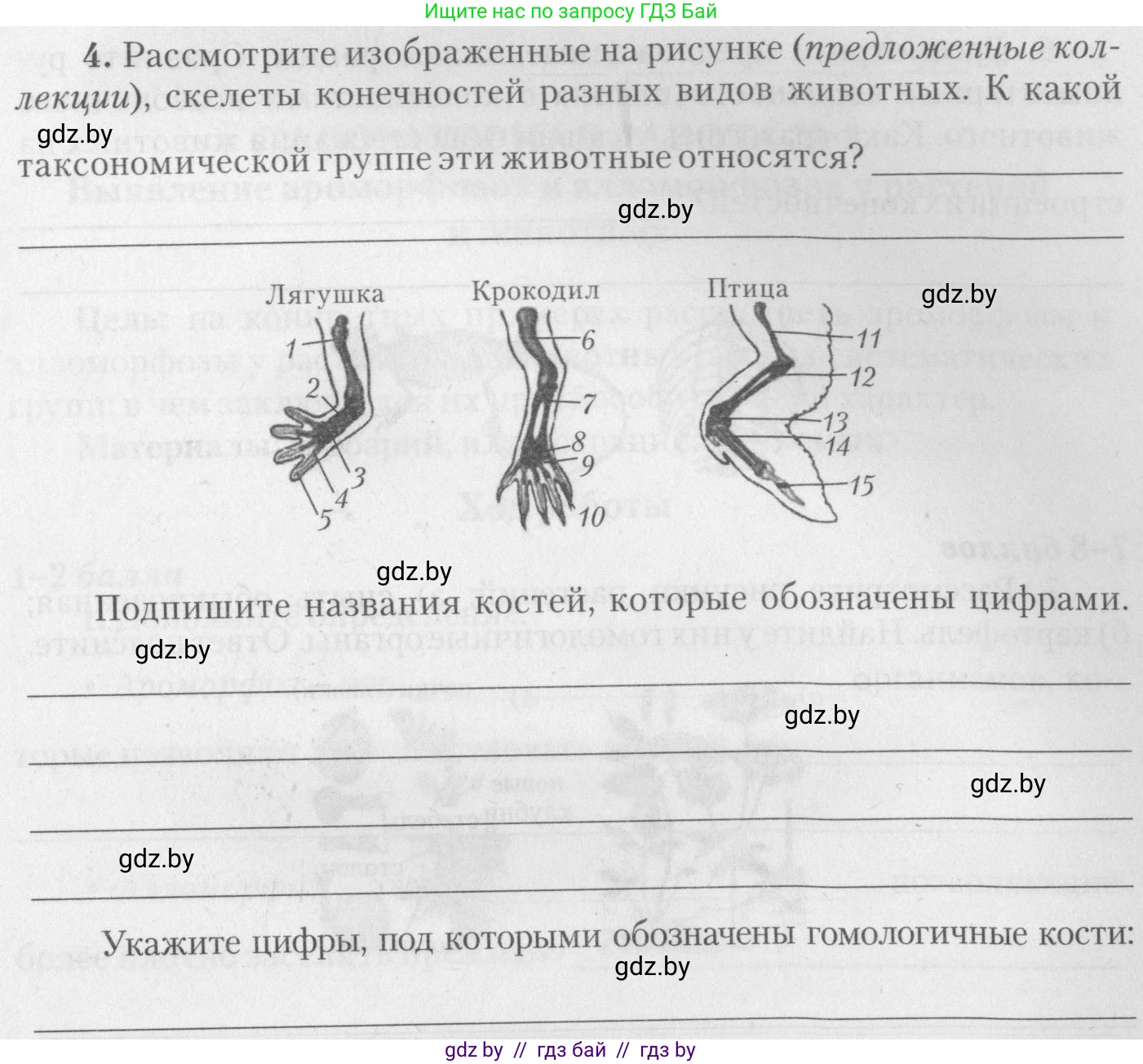 Биология, 11 класс тетрадь для практических и лабораторных работ, экскурсий, автор: Новик Ирина Михайловна, издательство Сэр-Вит, Минск, 2019, розового цвета, страница 9, номер 4, Условие