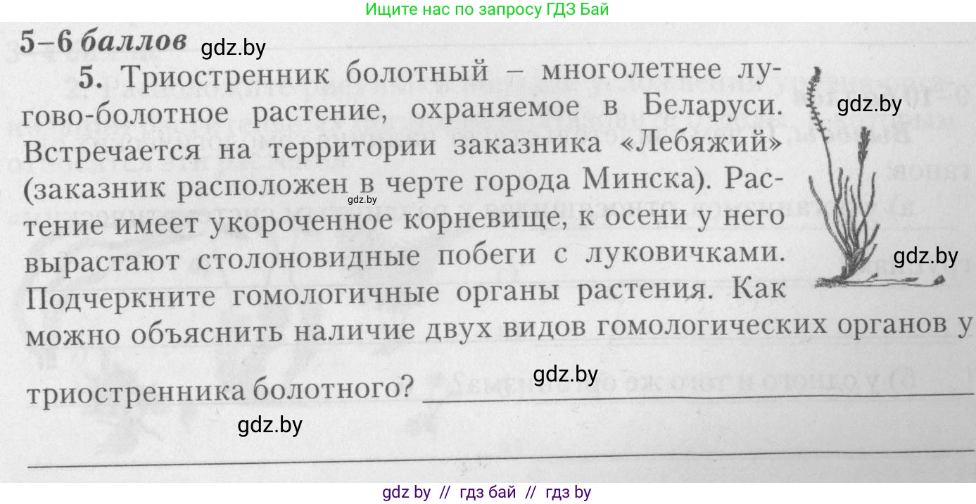 Биология, 11 класс тетрадь для практических и лабораторных работ, экскурсий, автор: Новик Ирина Михайловна, издательство Сэр-Вит, Минск, 2019, розового цвета, страница 9, номер 5, Условие