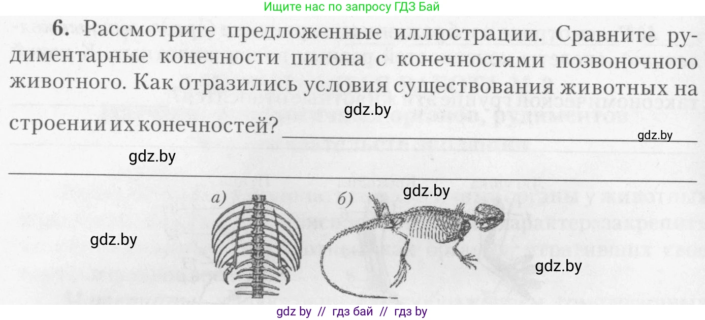 Биология, 11 класс тетрадь для практических и лабораторных работ, экскурсий, автор: Новик Ирина Михайловна, издательство Сэр-Вит, Минск, 2019, розового цвета, страница 10, номер 6, Условие