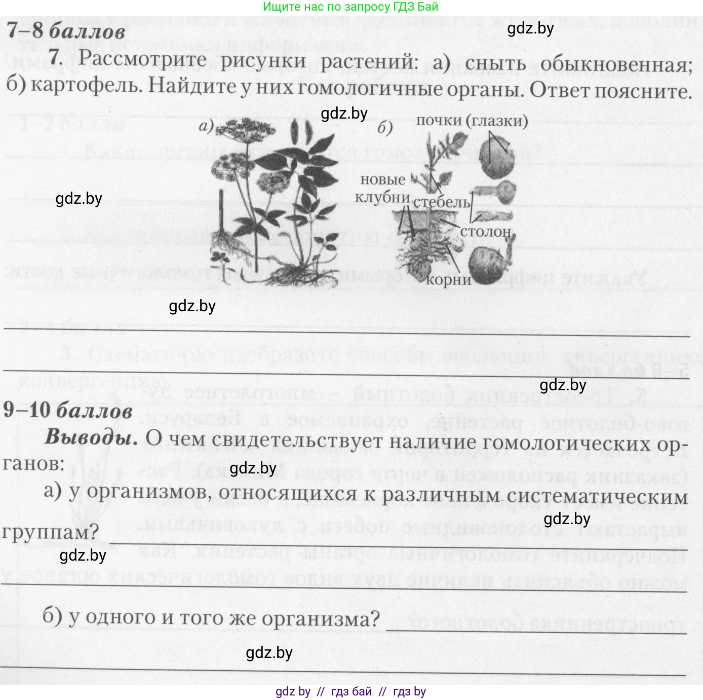 Биология, 11 класс тетрадь для практических и лабораторных работ, экскурсий, автор: Новик Ирина Михайловна, издательство Сэр-Вит, Минск, 2019, розового цвета, страница 10, номер 7, Условие