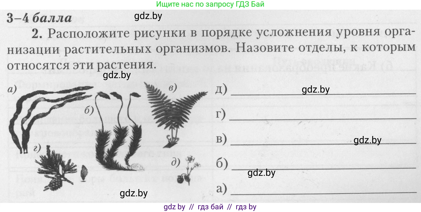Биология, 11 класс тетрадь для практических и лабораторных работ, экскурсий, автор: Новик Ирина Михайловна, издательство Сэр-Вит, Минск, 2019, розового цвета, страница 11, номер 2, Условие