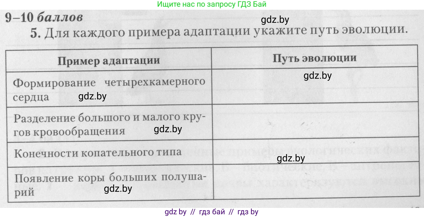 Биология, 11 класс тетрадь для практических и лабораторных работ, экскурсий, автор: Новик Ирина Михайловна, издательство Сэр-Вит, Минск, 2019, розового цвета, страница 13, номер 5, Условие