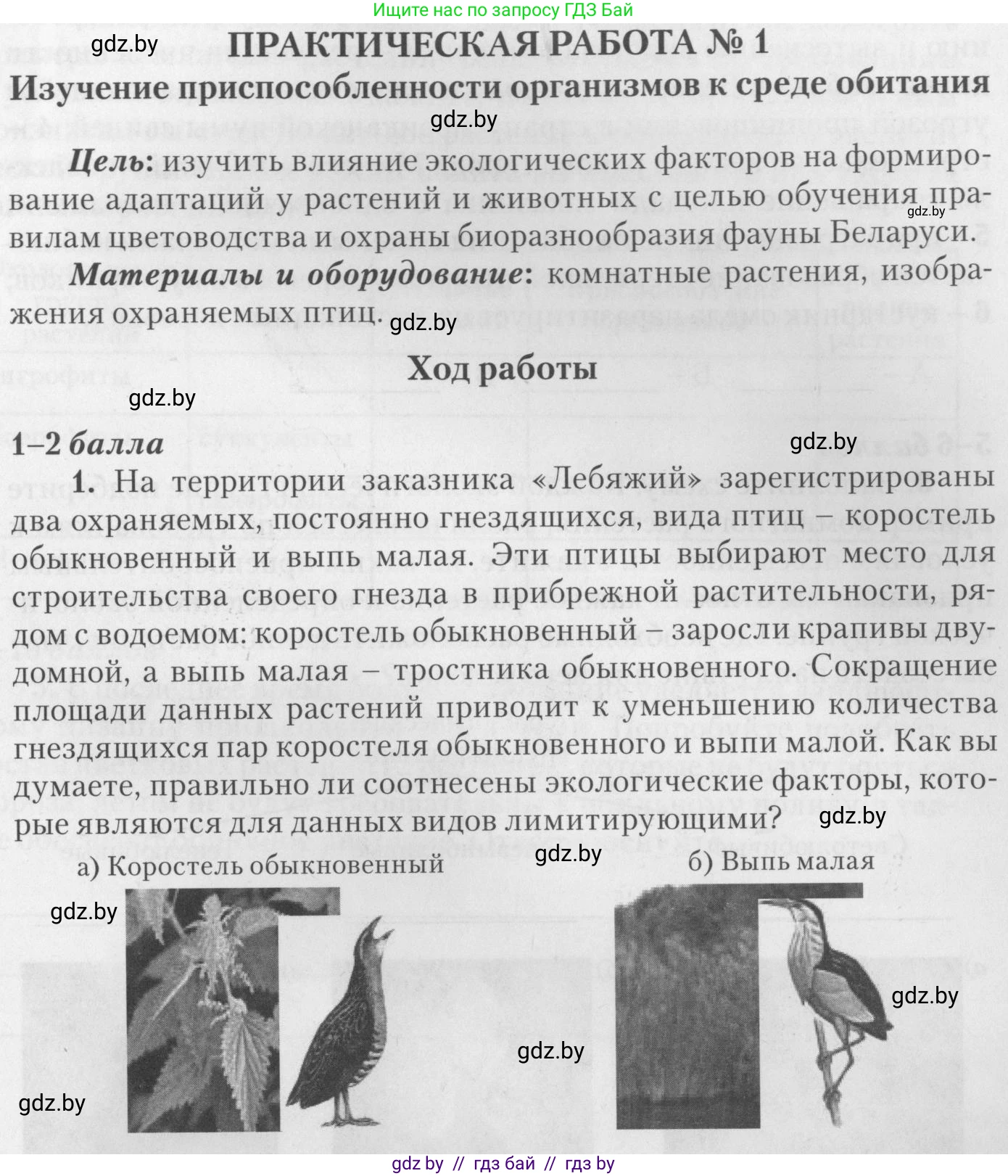Биология, 11 класс тетрадь для практических и лабораторных работ, экскурсий, автор: Новик Ирина Михайловна, издательство Сэр-Вит, Минск, 2019, розового цвета, страница 15, номер 1, Условие