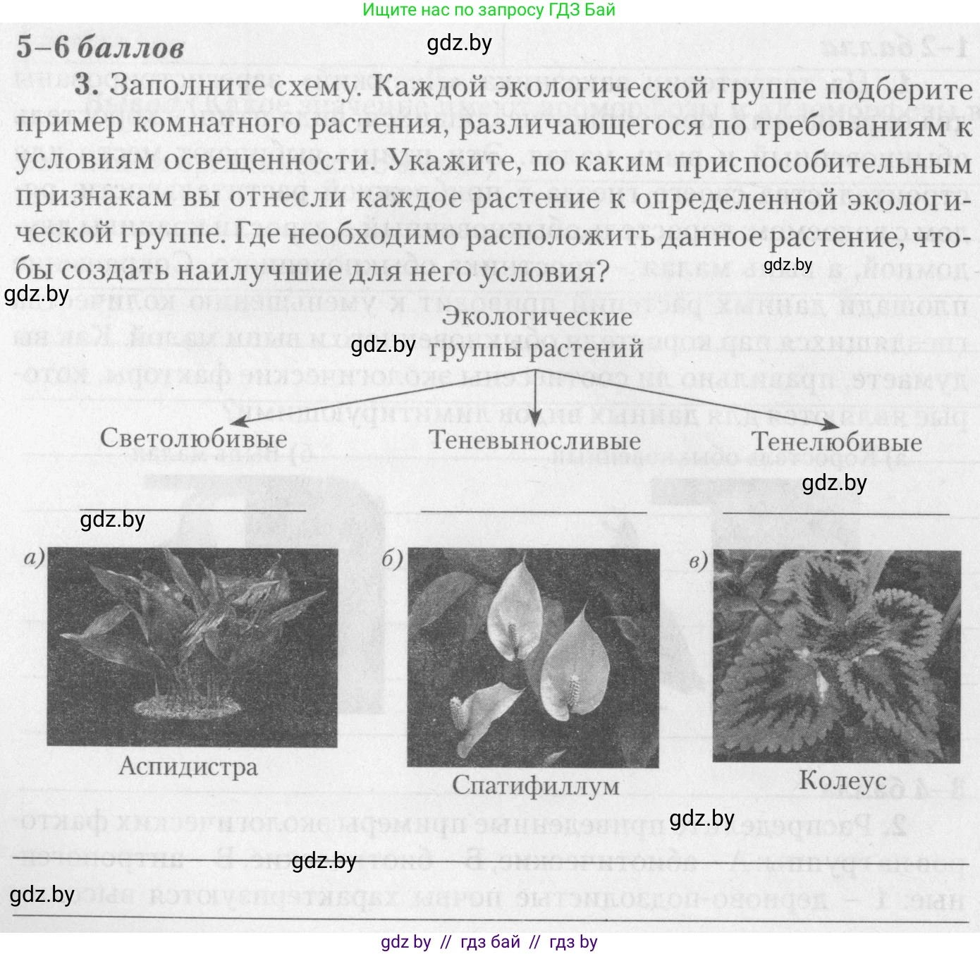 Биология, 11 класс тетрадь для практических и лабораторных работ, экскурсий, автор: Новик Ирина Михайловна, издательство Сэр-Вит, Минск, 2019, розового цвета, страница 16, номер 3, Условие
