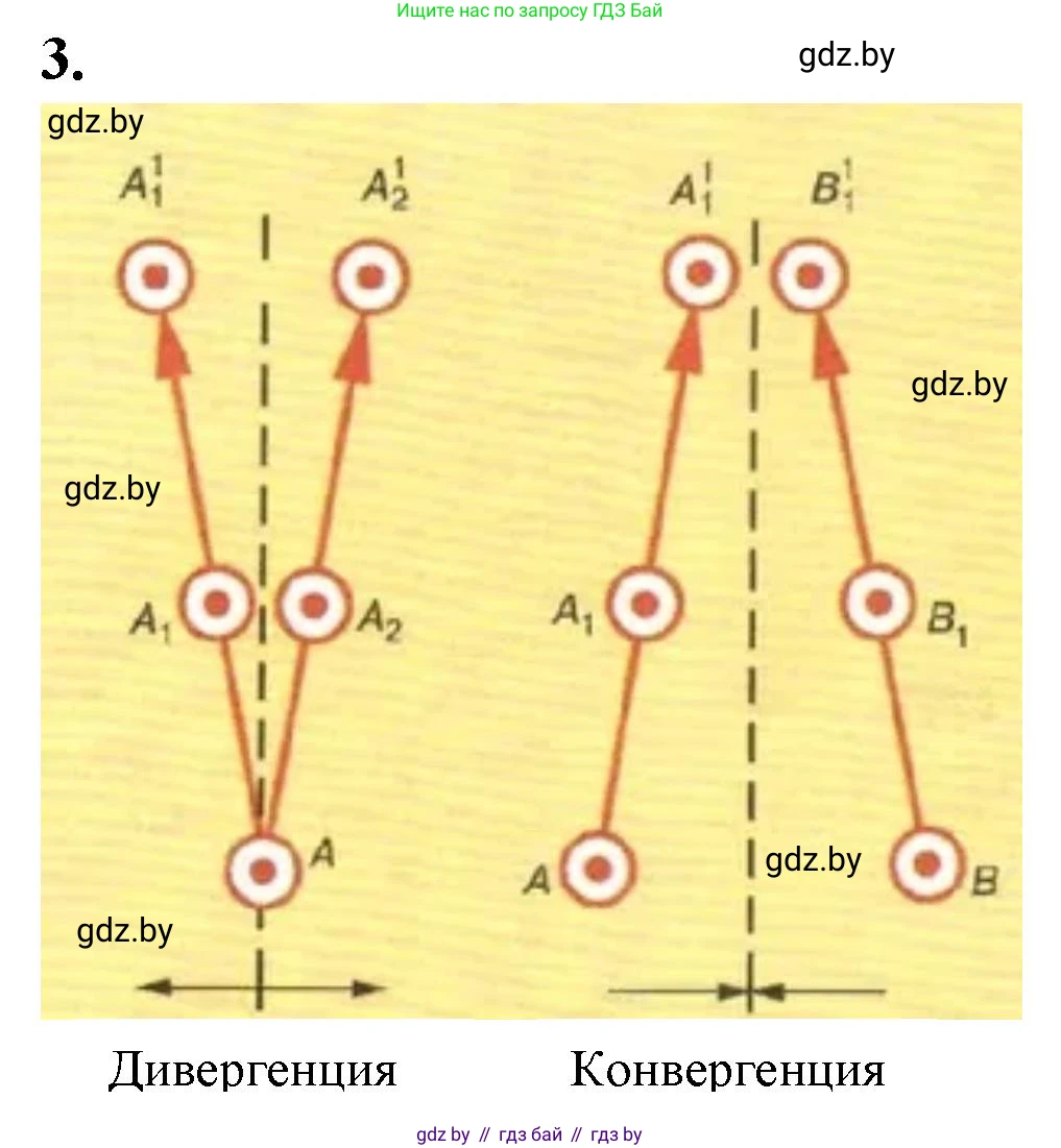 Биология, 11 класс тетрадь для практических и лабораторных работ, экскурсий, автор: Новик Ирина Михайловна, издательство Сэр-Вит, Минск, 2019, розового цвета, страница 8, номер 3, Решение