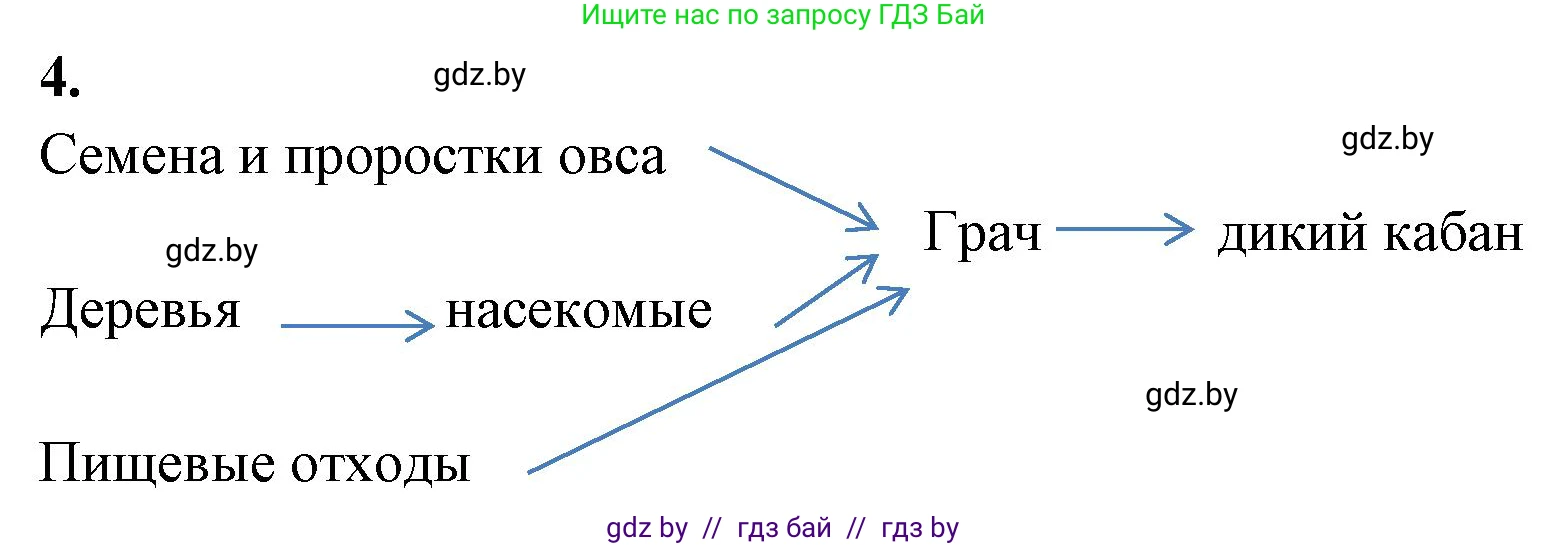 Биология, 11 класс тетрадь для практических и лабораторных работ, экскурсий, автор: Новик Ирина Михайловна, издательство Сэр-Вит, Минск, 2019, розового цвета, страница 19, номер 4, Решение
