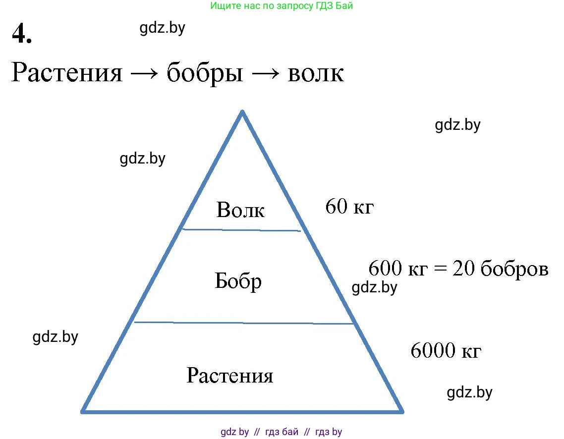 Биология, 11 класс тетрадь для практических и лабораторных работ, экскурсий, автор: Новик Ирина Михайловна, издательство Сэр-Вит, Минск, 2019, розового цвета, страница 22, номер 4, Решение