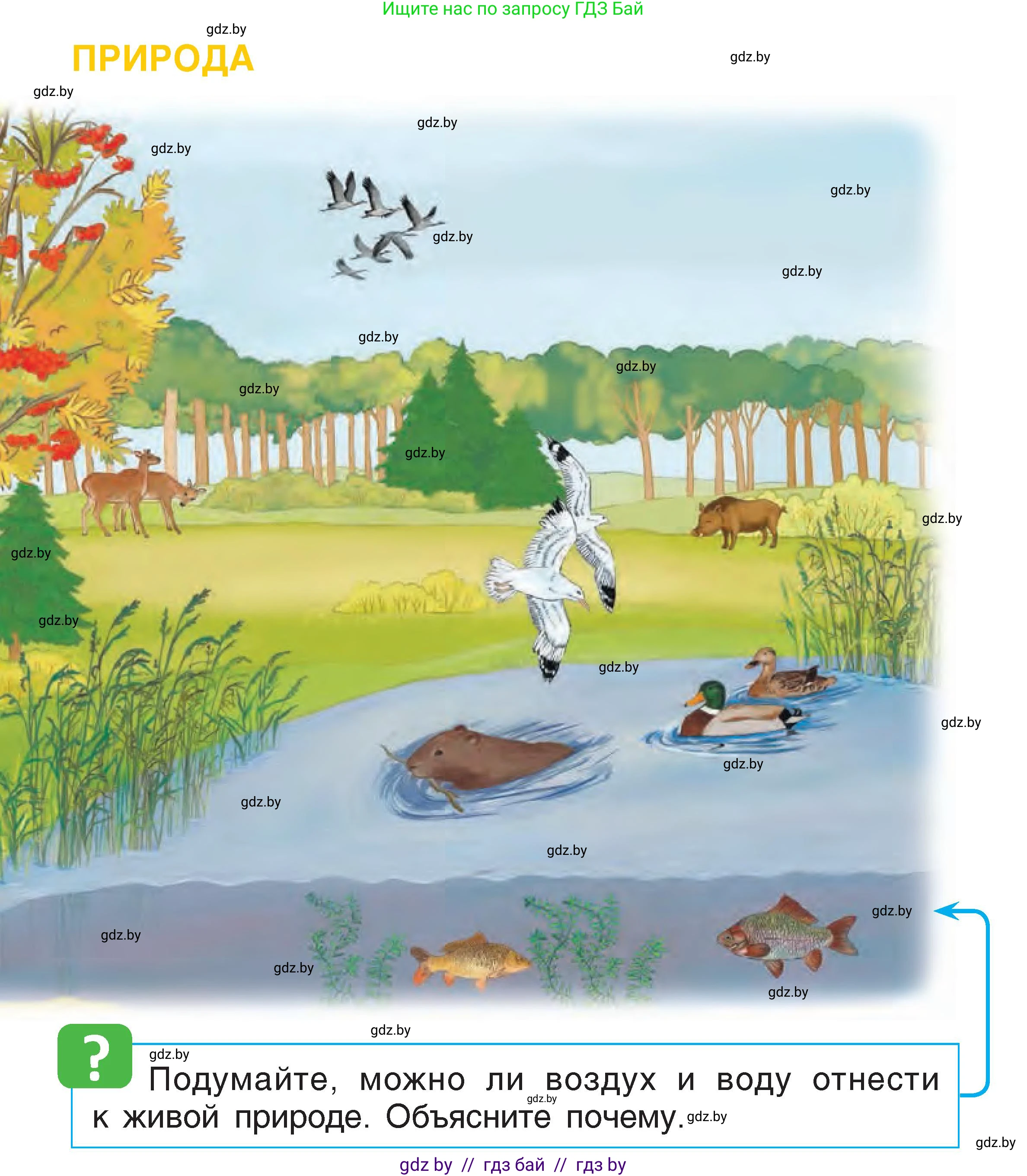 Человек и мир, 1 класс Учебник, авторы: Трафимова Галина Владимировна, Трафимов Сергей Анатольевич, издательство Национальный институт образования, Минск, 2023, салатового цвета, страница 11, Условие