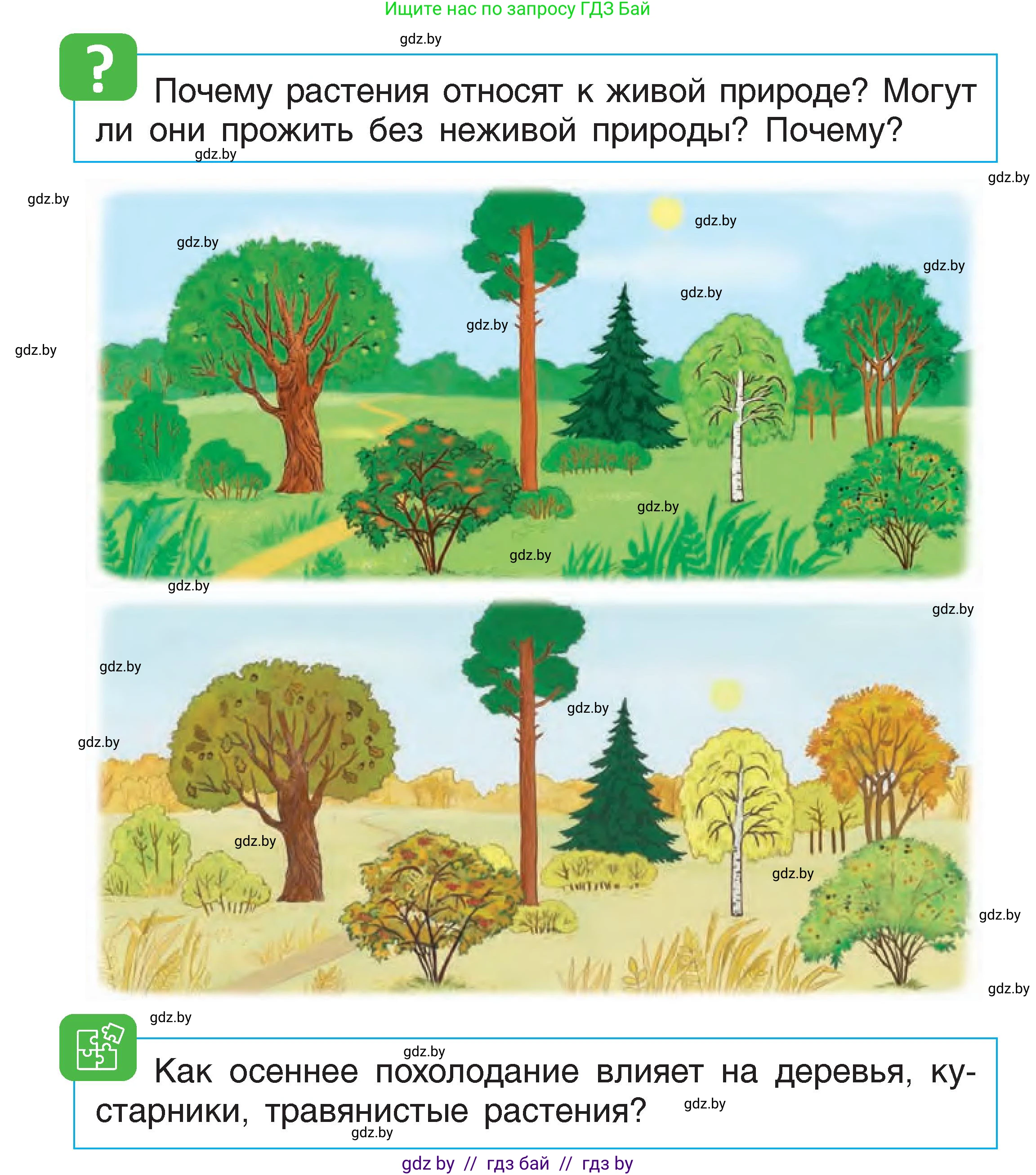 Человек и мир, 1 класс Учебник, авторы: Трафимова Галина Владимировна, Трафимов Сергей Анатольевич, издательство Национальный институт образования, Минск, 2023, салатового цвета, страница 16, Условие