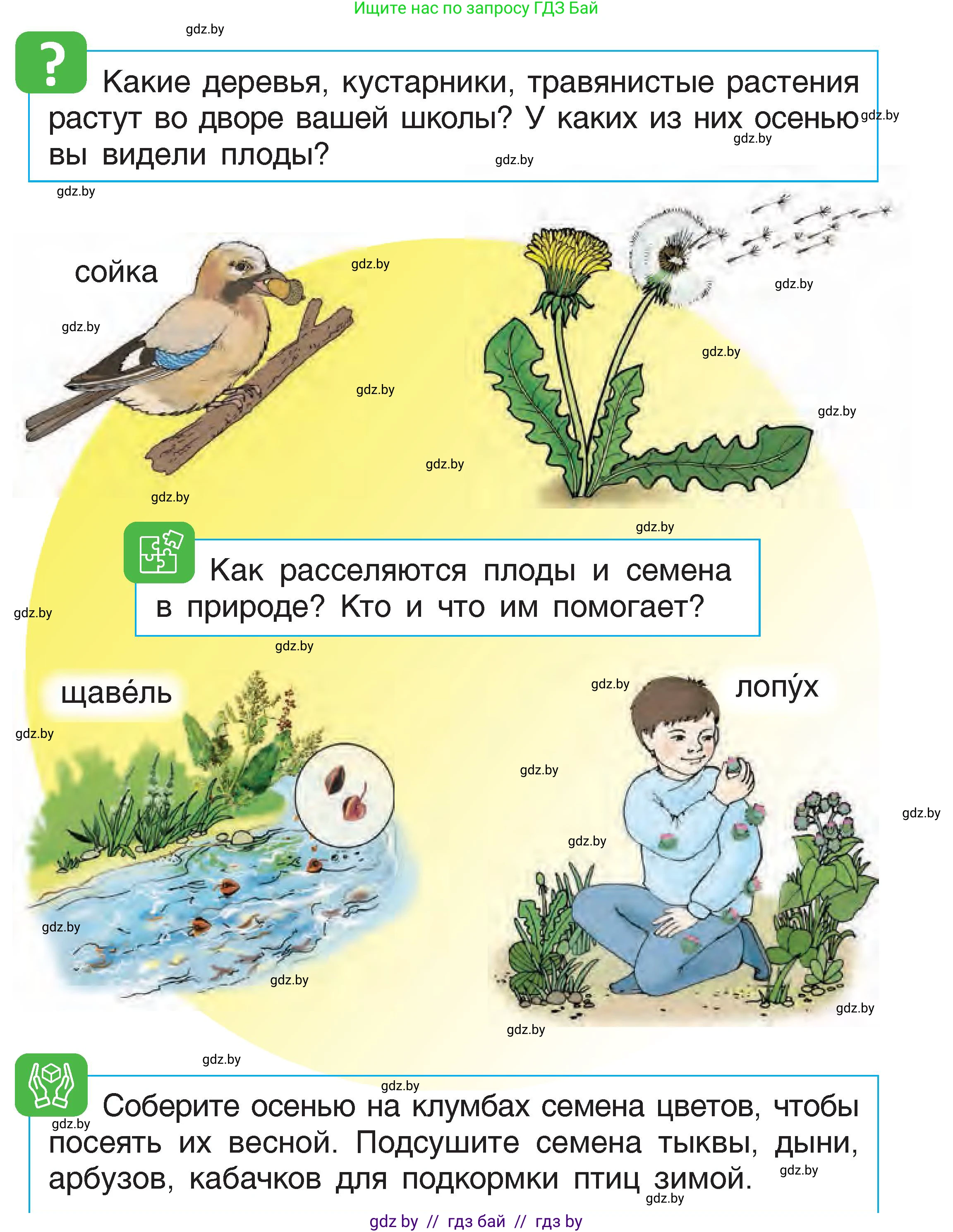Человек и мир, 1 класс Учебник, авторы: Трафимова Галина Владимировна, Трафимов Сергей Анатольевич, издательство Национальный институт образования, Минск, 2023, салатового цвета, страница 17, Условие