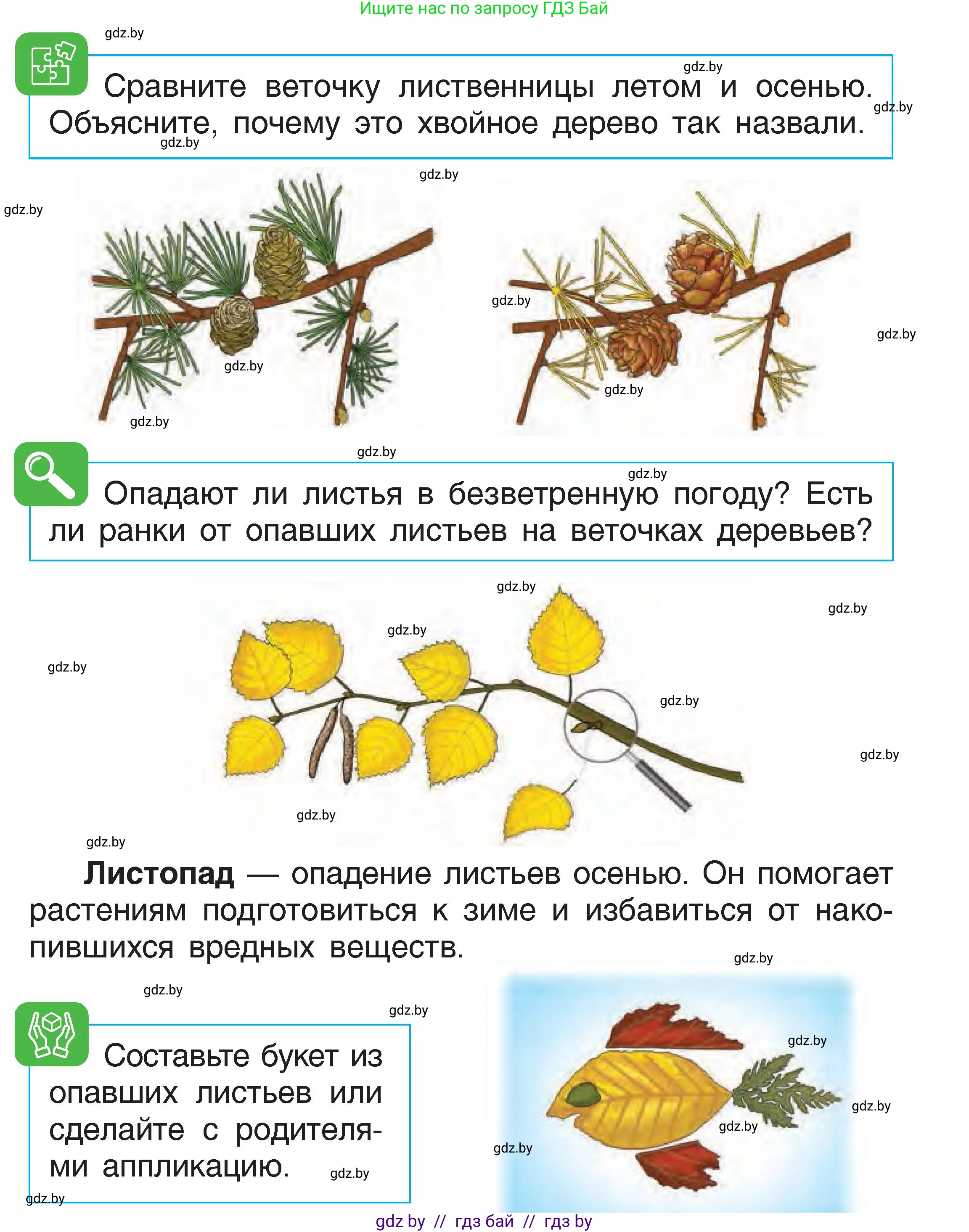 Человек и мир, 1 класс Учебник, авторы: Трафимова Галина Владимировна, Трафимов Сергей Анатольевич, издательство Национальный институт образования, Минск, 2023, салатового цвета, страница 19, Условие
