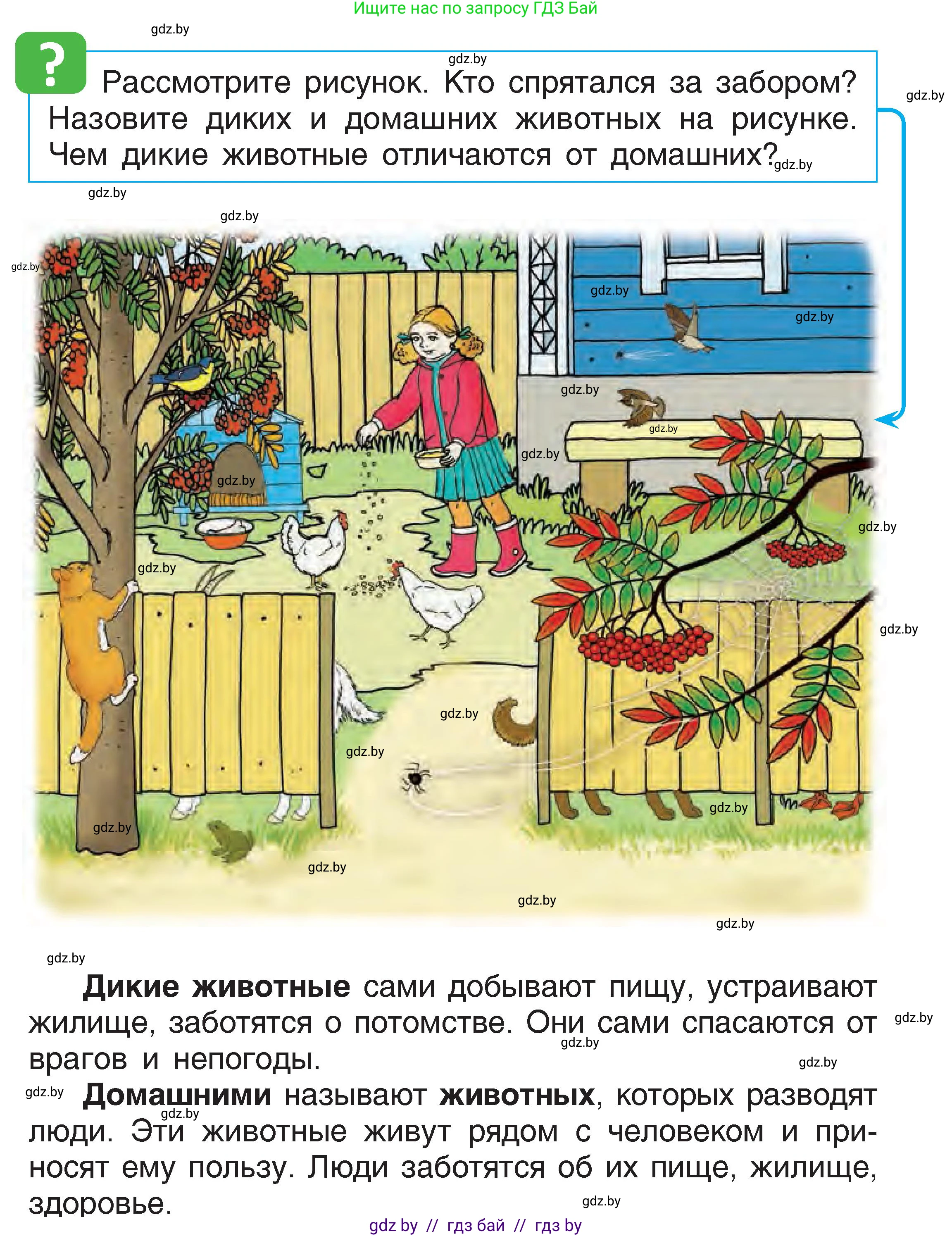 Человек и мир, 1 класс Учебник, авторы: Трафимова Галина Владимировна, Трафимов Сергей Анатольевич, издательство Национальный институт образования, Минск, 2023, салатового цвета, страница 21, Условие