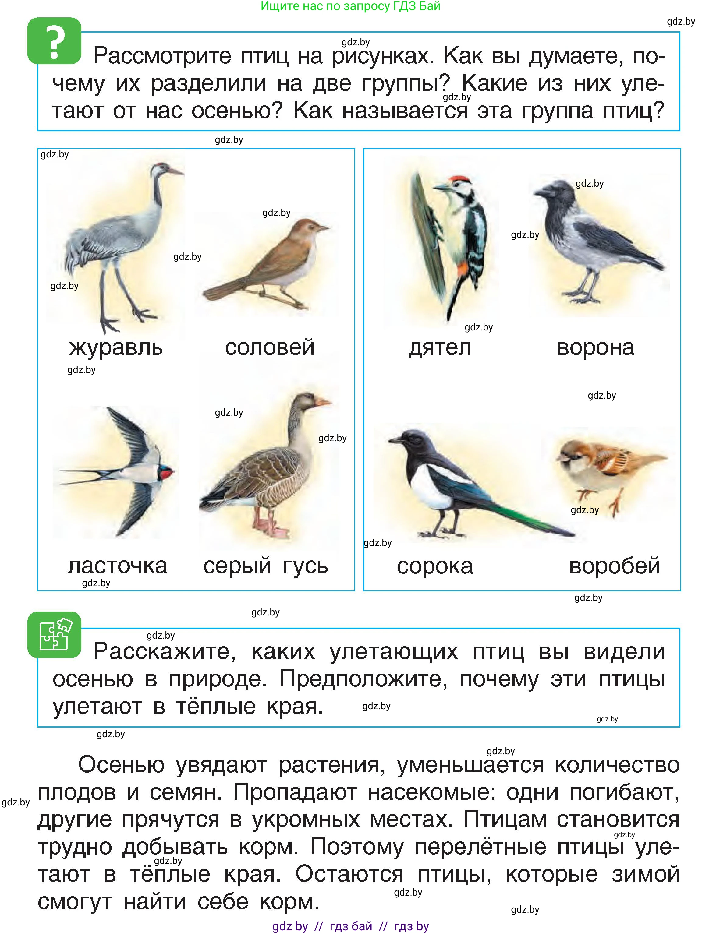 Человек и мир, 1 класс Учебник, авторы: Трафимова Галина Владимировна, Трафимов Сергей Анатольевич, издательство Национальный институт образования, Минск, 2023, салатового цвета, страница 22, Условие