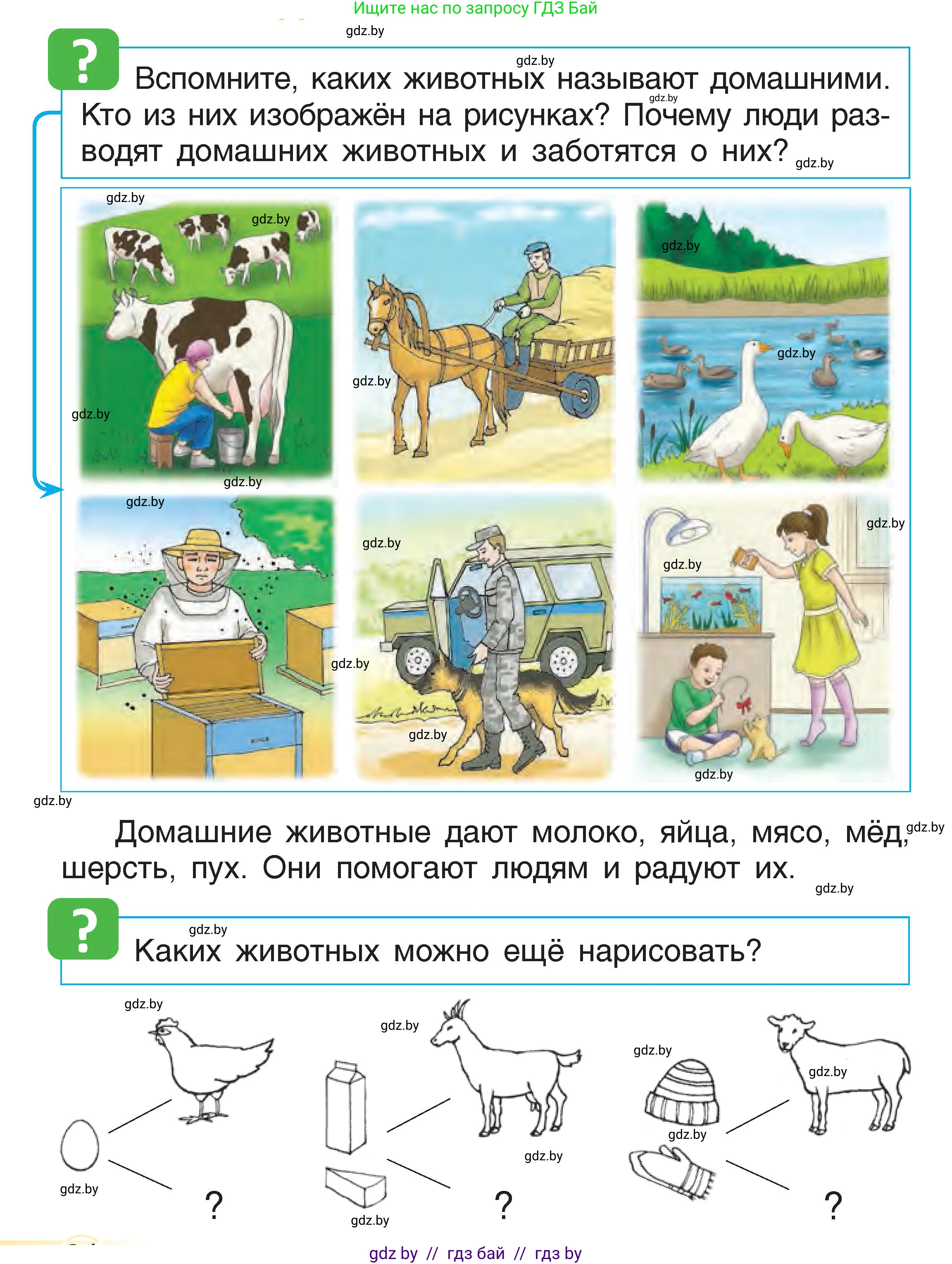 Человек и мир, 1 класс Учебник, авторы: Трафимова Галина Владимировна, Трафимов Сергей Анатольевич, издательство Национальный институт образования, Минск, 2023, салатового цвета, страница 24, Условие