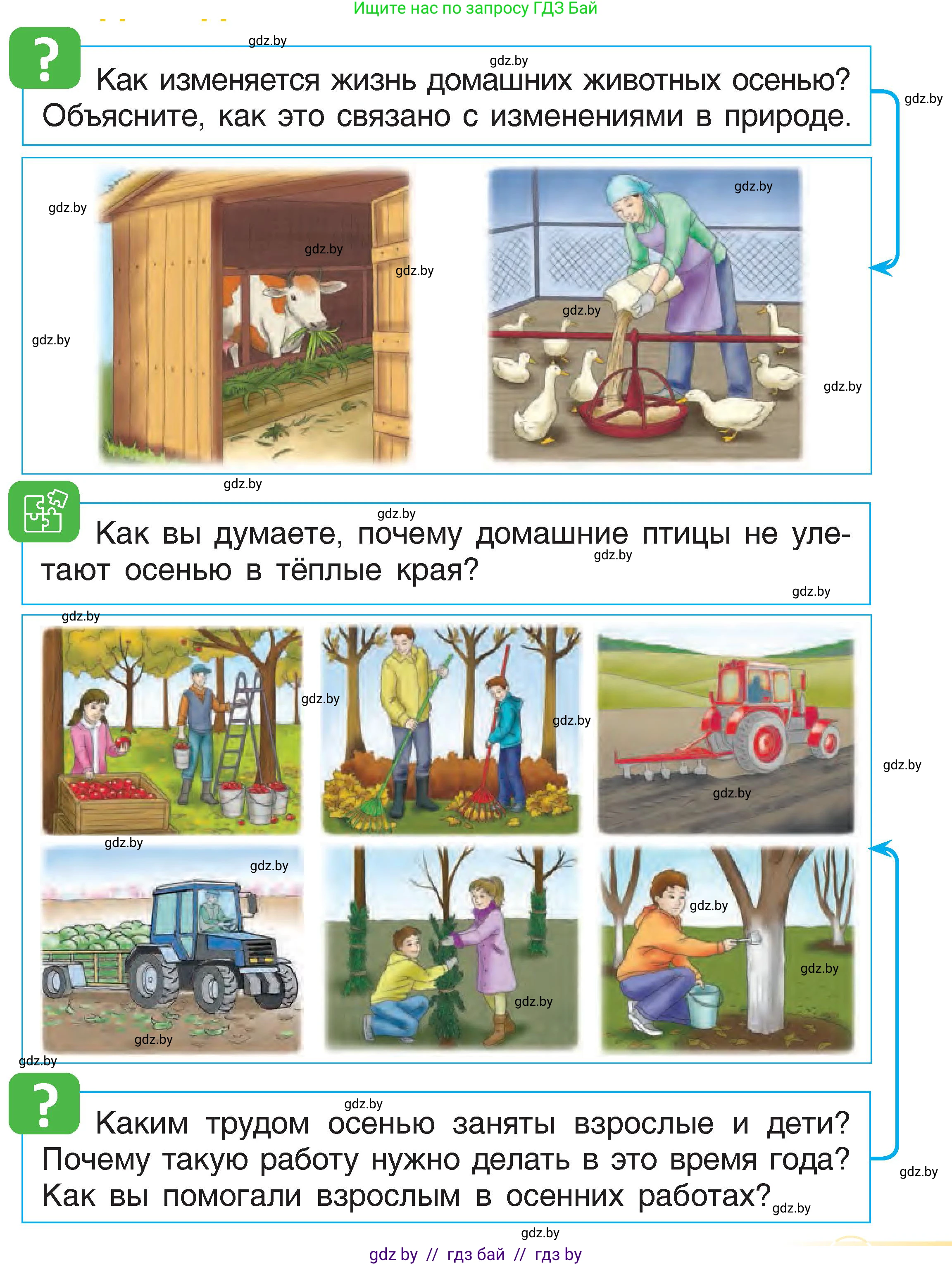 Человек и мир, 1 класс Учебник, авторы: Трафимова Галина Владимировна, Трафимов Сергей Анатольевич, издательство Национальный институт образования, Минск, 2023, салатового цвета, страница 25, Условие