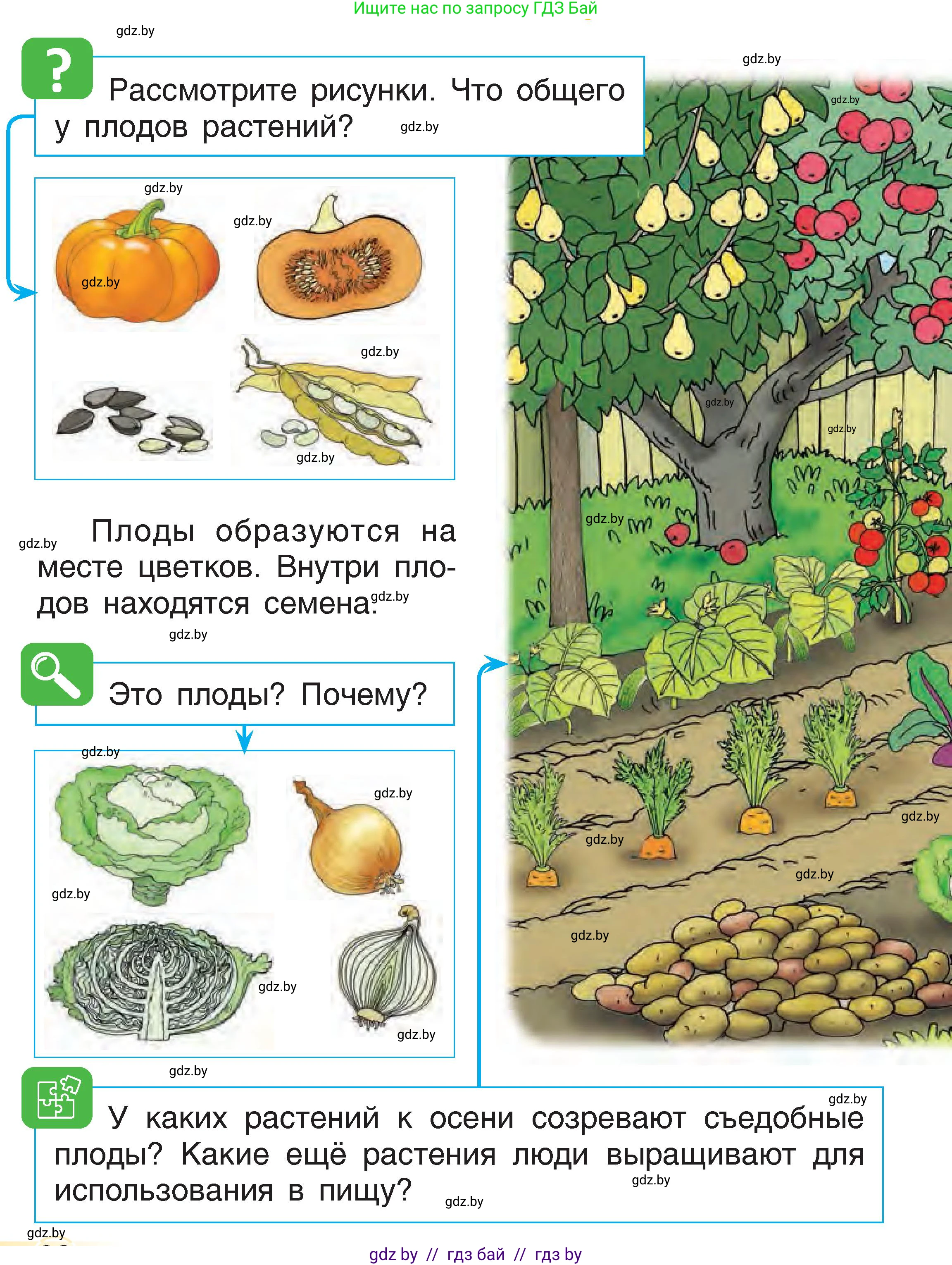 Человек и мир, 1 класс Учебник, авторы: Трафимова Галина Владимировна, Трафимов Сергей Анатольевич, издательство Национальный институт образования, Минск, 2023, салатового цвета, страница 28, Условие