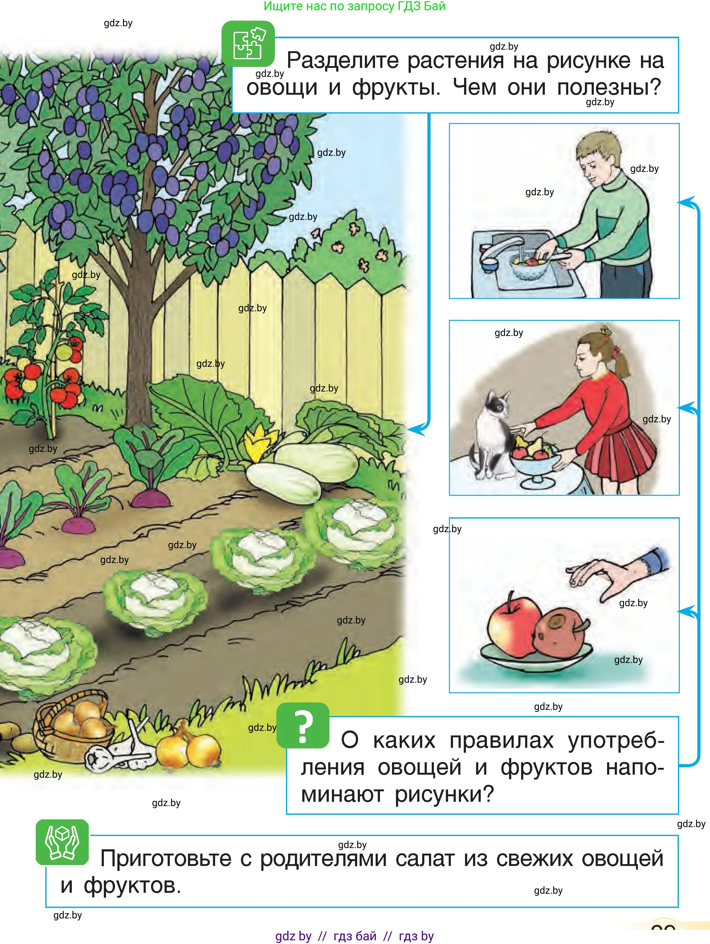 Человек и мир, 1 класс Учебник, авторы: Трафимова Галина Владимировна, Трафимов Сергей Анатольевич, издательство Национальный институт образования, Минск, 2023, салатового цвета, страница 29, Условие