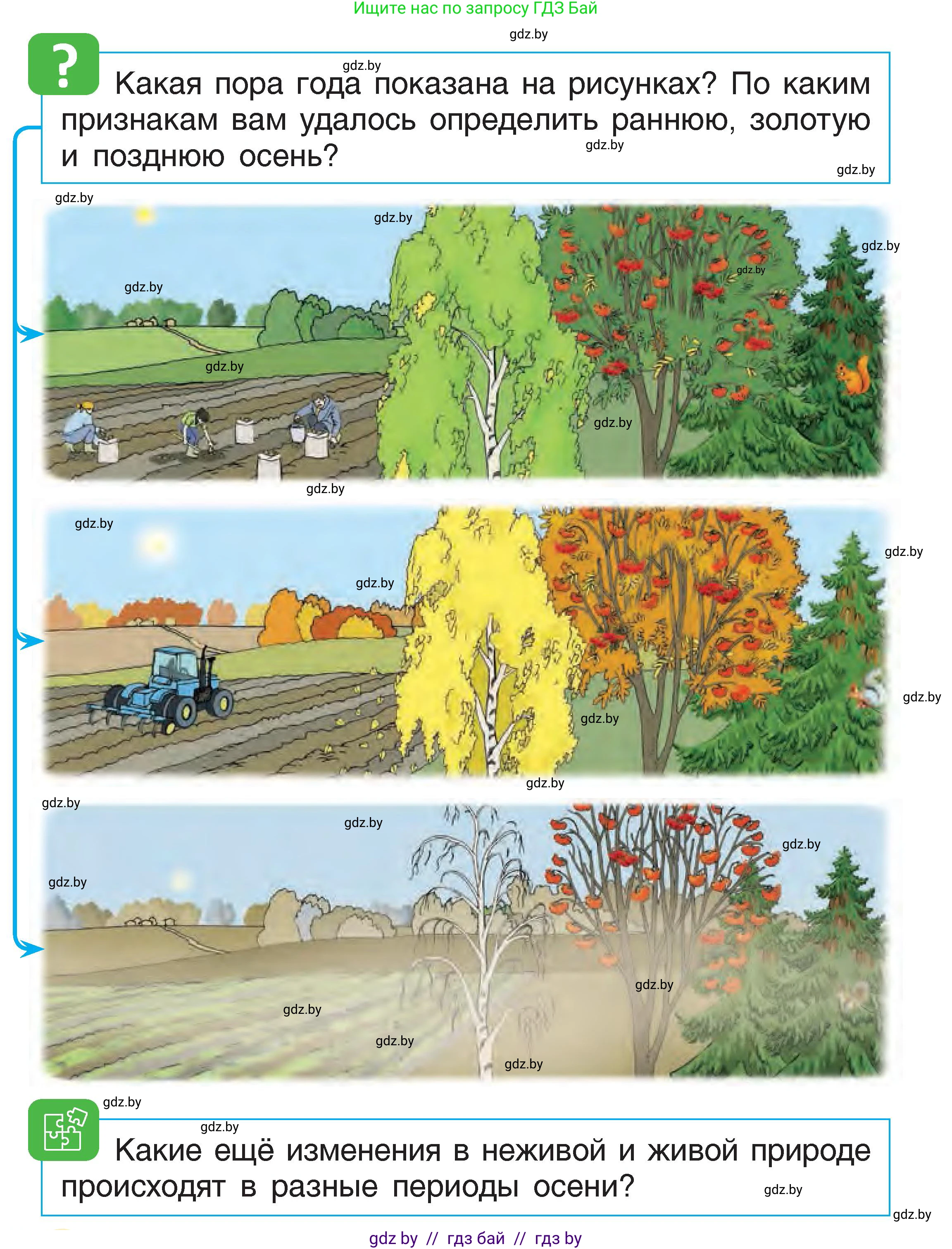 Человек и мир, 1 класс Учебник, авторы: Трафимова Галина Владимировна, Трафимов Сергей Анатольевич, издательство Национальный институт образования, Минск, 2023, салатового цвета, страница 30, Условие