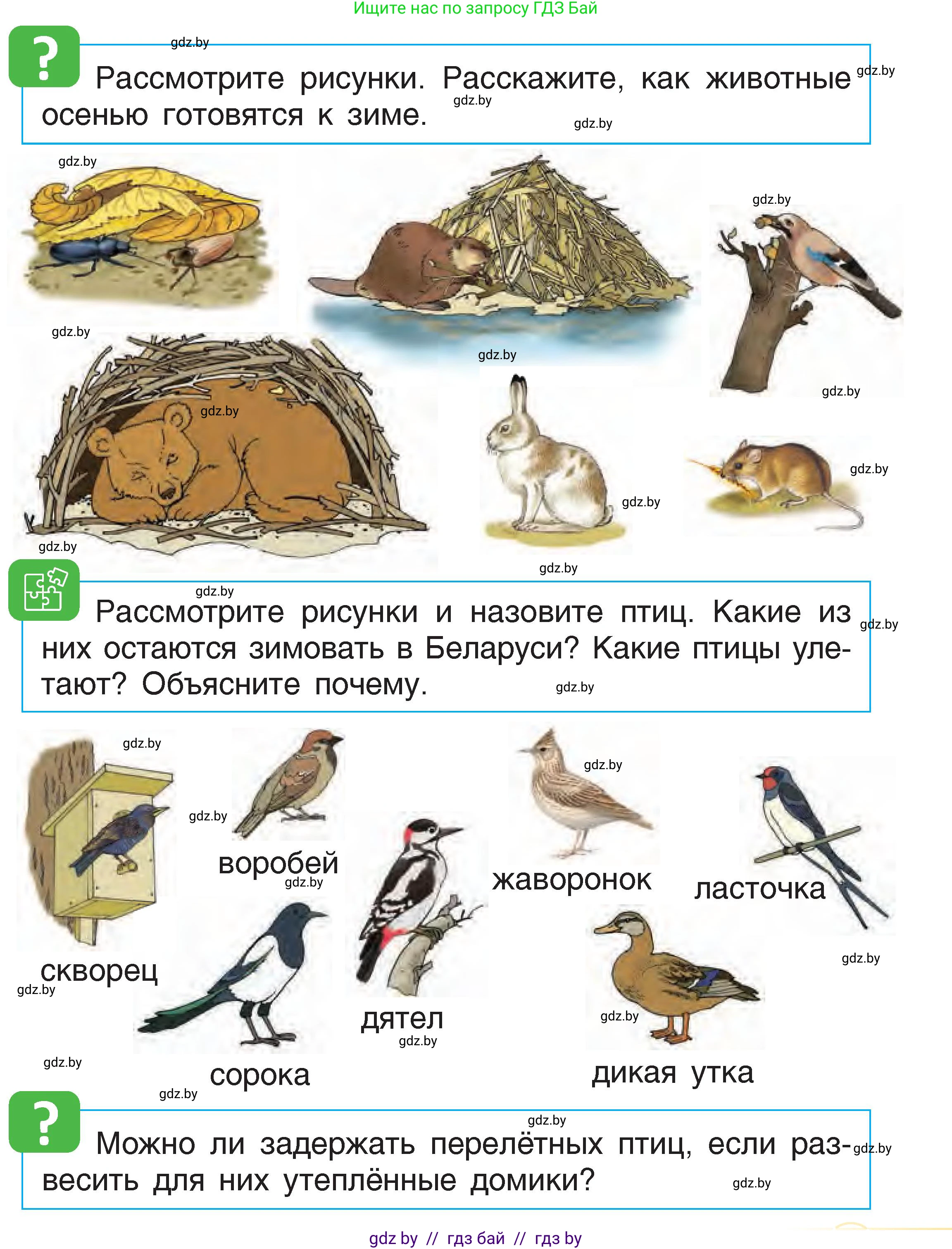 Человек и мир, 1 класс Учебник, авторы: Трафимова Галина Владимировна, Трафимов Сергей Анатольевич, издательство Национальный институт образования, Минск, 2023, салатового цвета, страница 31, Условие