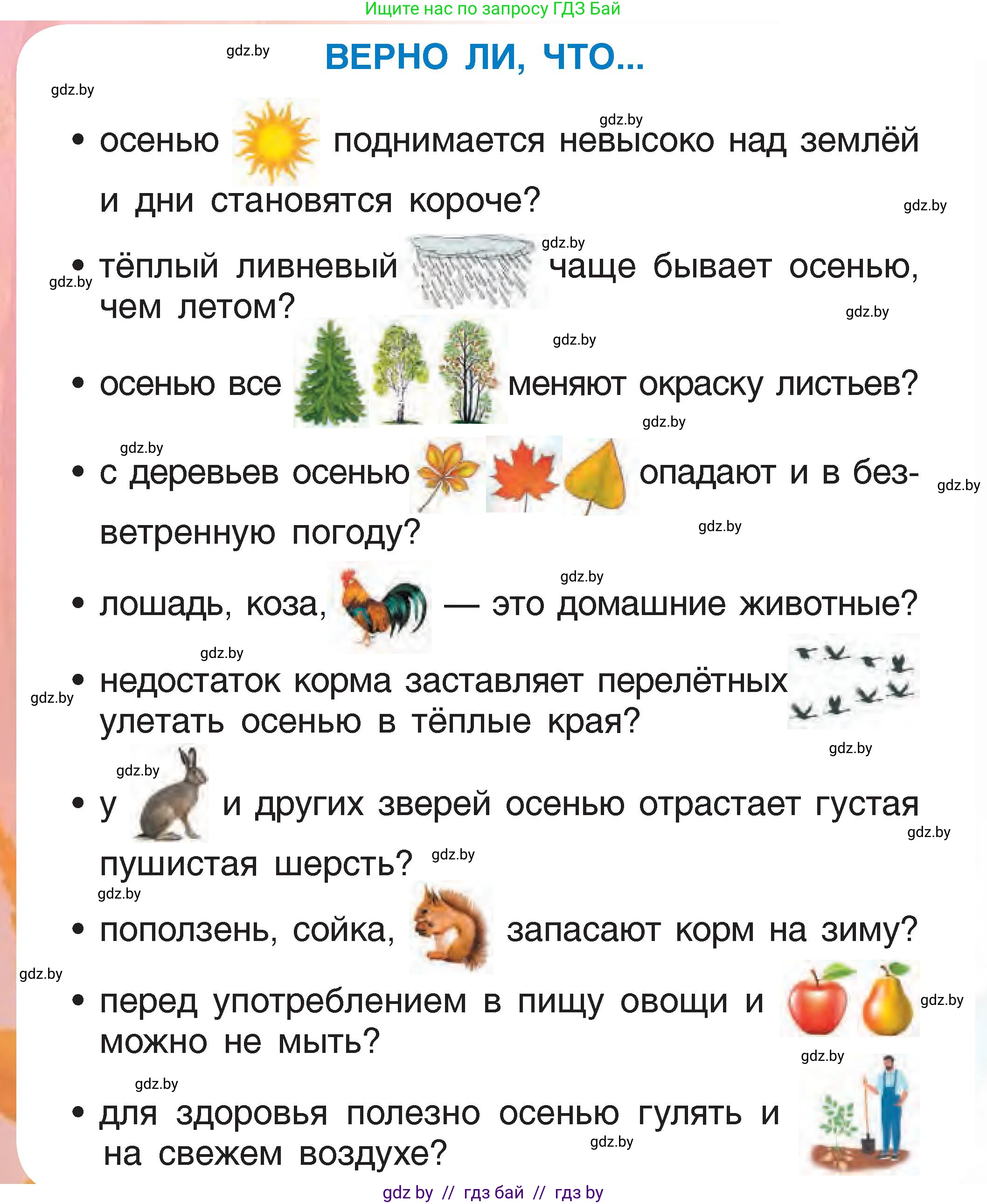 Человек и мир, 1 класс Учебник, авторы: Трафимова Галина Владимировна, Трафимов Сергей Анатольевич, издательство Национальный институт образования, Минск, 2023, салатового цвета, страница 32, Условие