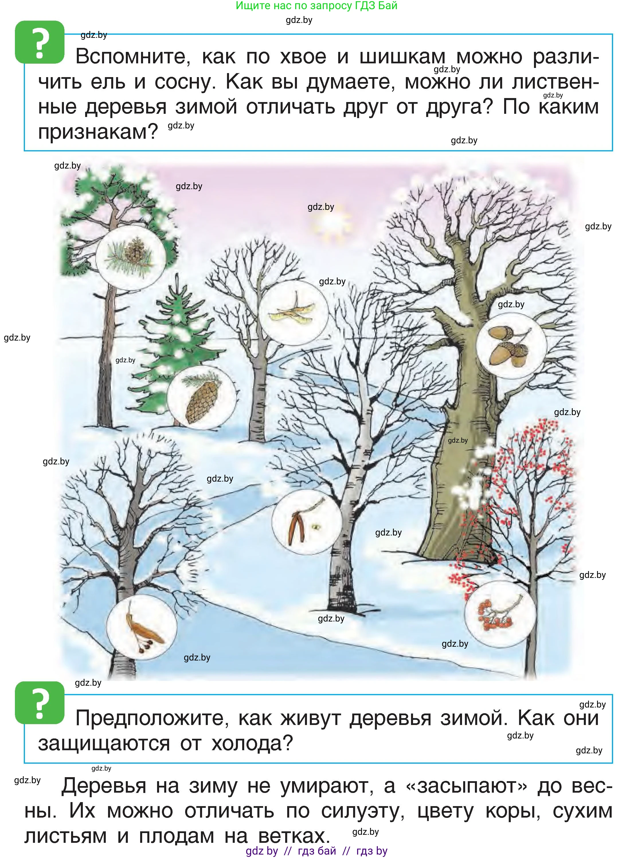 Человек и мир, 1 класс Учебник, авторы: Трафимова Галина Владимировна, Трафимов Сергей Анатольевич, издательство Национальный институт образования, Минск, 2023, салатового цвета, страница 36, Условие