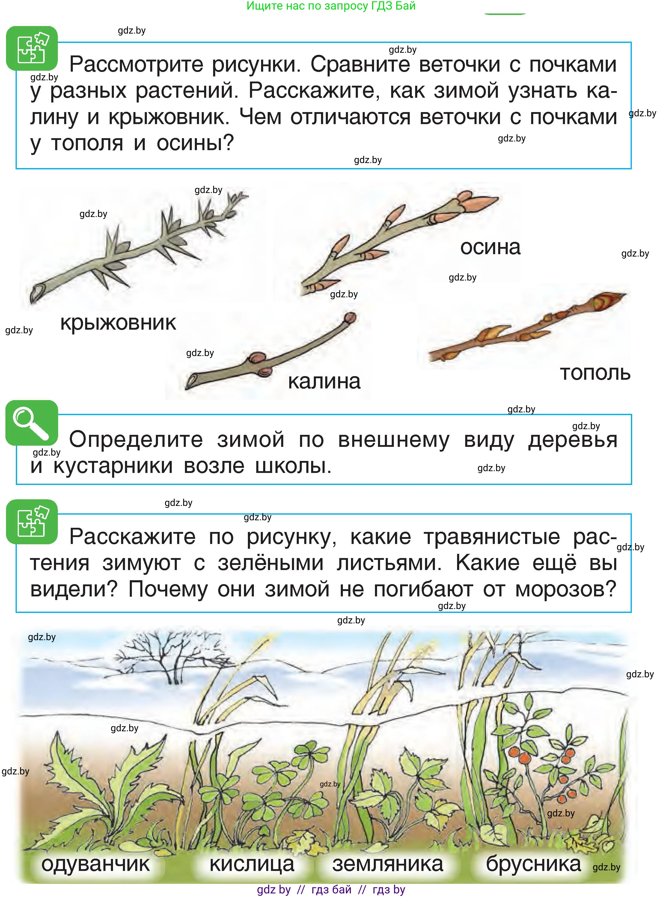 Человек и мир, 1 класс Учебник, авторы: Трафимова Галина Владимировна, Трафимов Сергей Анатольевич, издательство Национальный институт образования, Минск, 2023, салатового цвета, страница 37, Условие