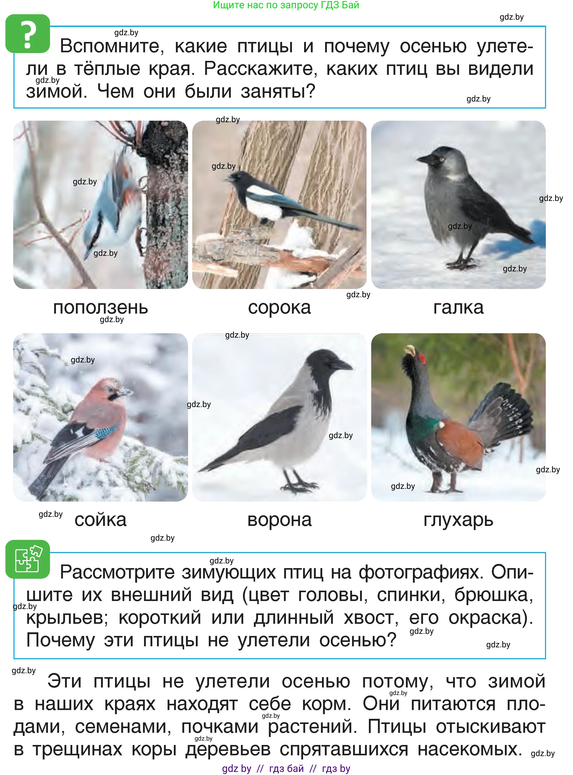 Человек и мир, 1 класс Учебник, авторы: Трафимова Галина Владимировна, Трафимов Сергей Анатольевич, издательство Национальный институт образования, Минск, 2023, салатового цвета, страница 40, Условие