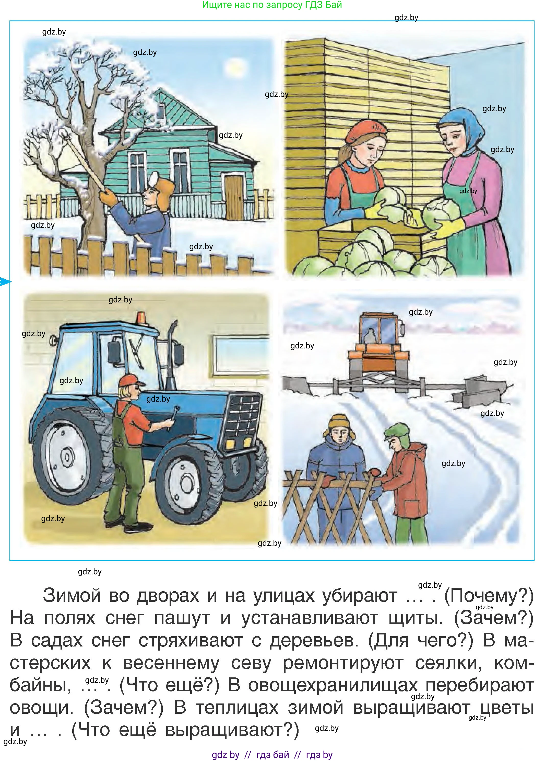 Человек и мир, 1 класс Учебник, авторы: Трафимова Галина Владимировна, Трафимов Сергей Анатольевич, издательство Национальный институт образования, Минск, 2023, салатового цвета, страница 43, Условие