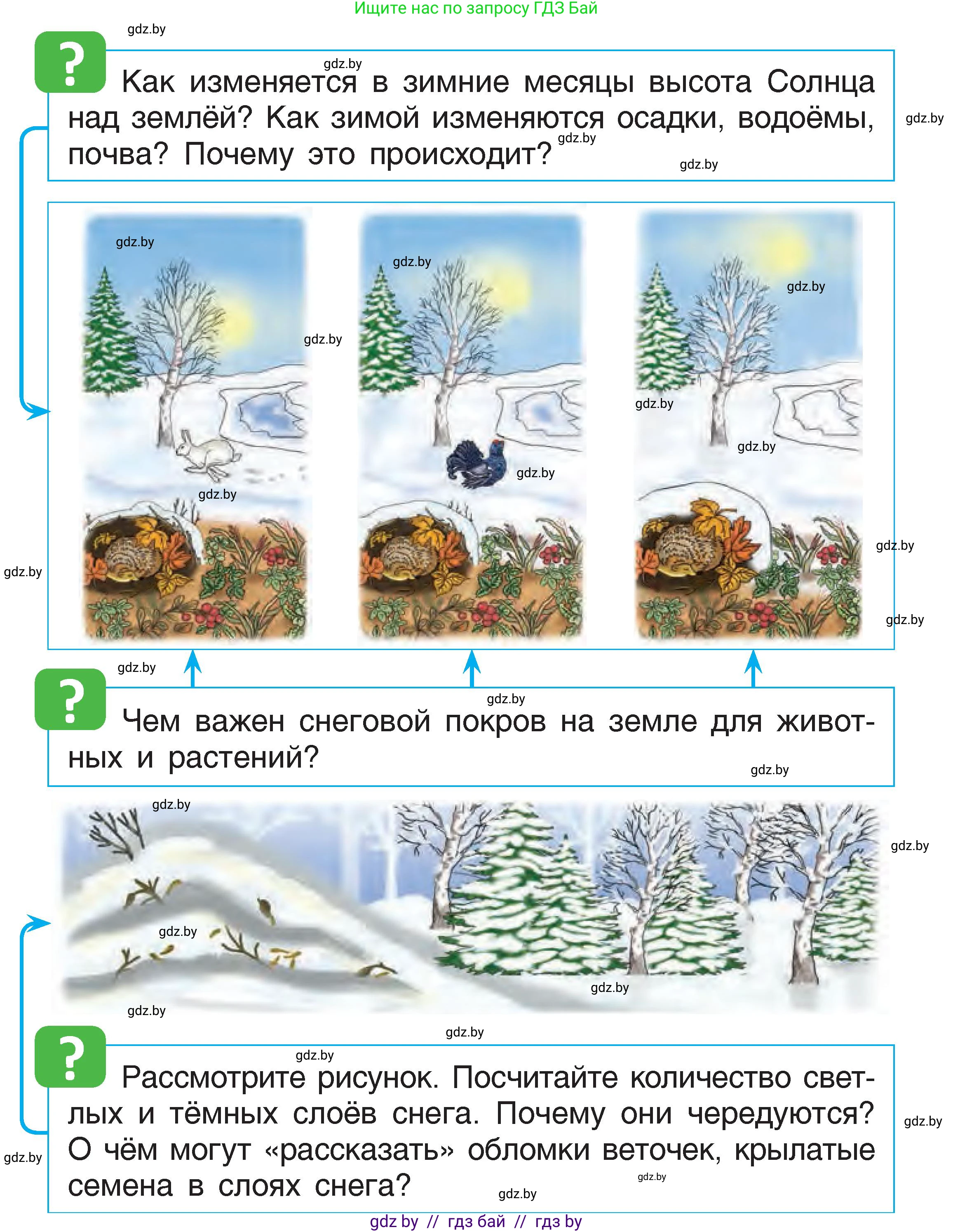 Человек и мир, 1 класс Учебник, авторы: Трафимова Галина Владимировна, Трафимов Сергей Анатольевич, издательство Национальный институт образования, Минск, 2023, салатового цвета, страница 46, Условие