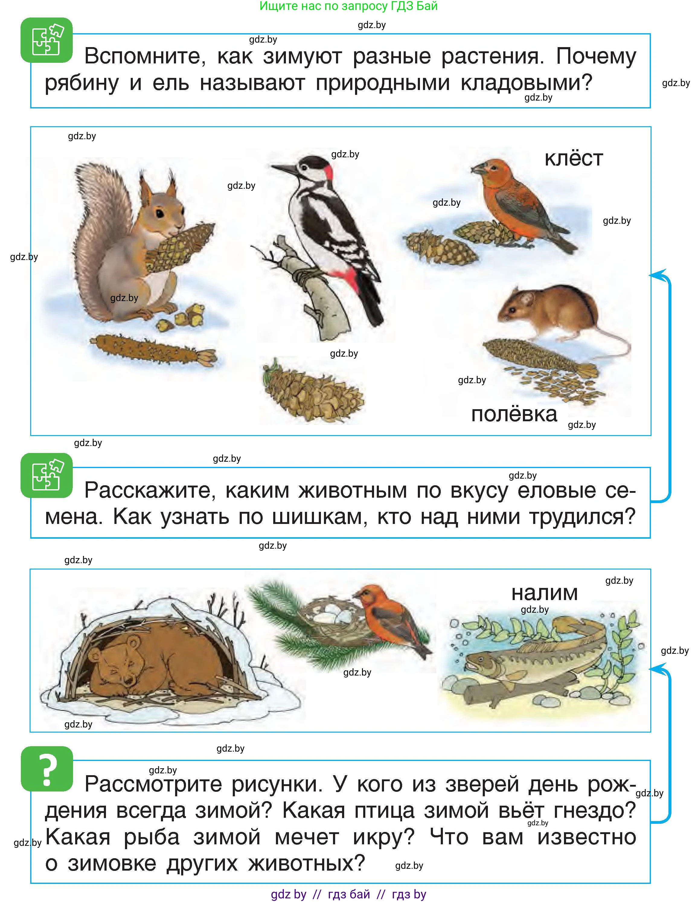Человек и мир, 1 класс Учебник, авторы: Трафимова Галина Владимировна, Трафимов Сергей Анатольевич, издательство Национальный институт образования, Минск, 2023, салатового цвета, страница 47, Условие
