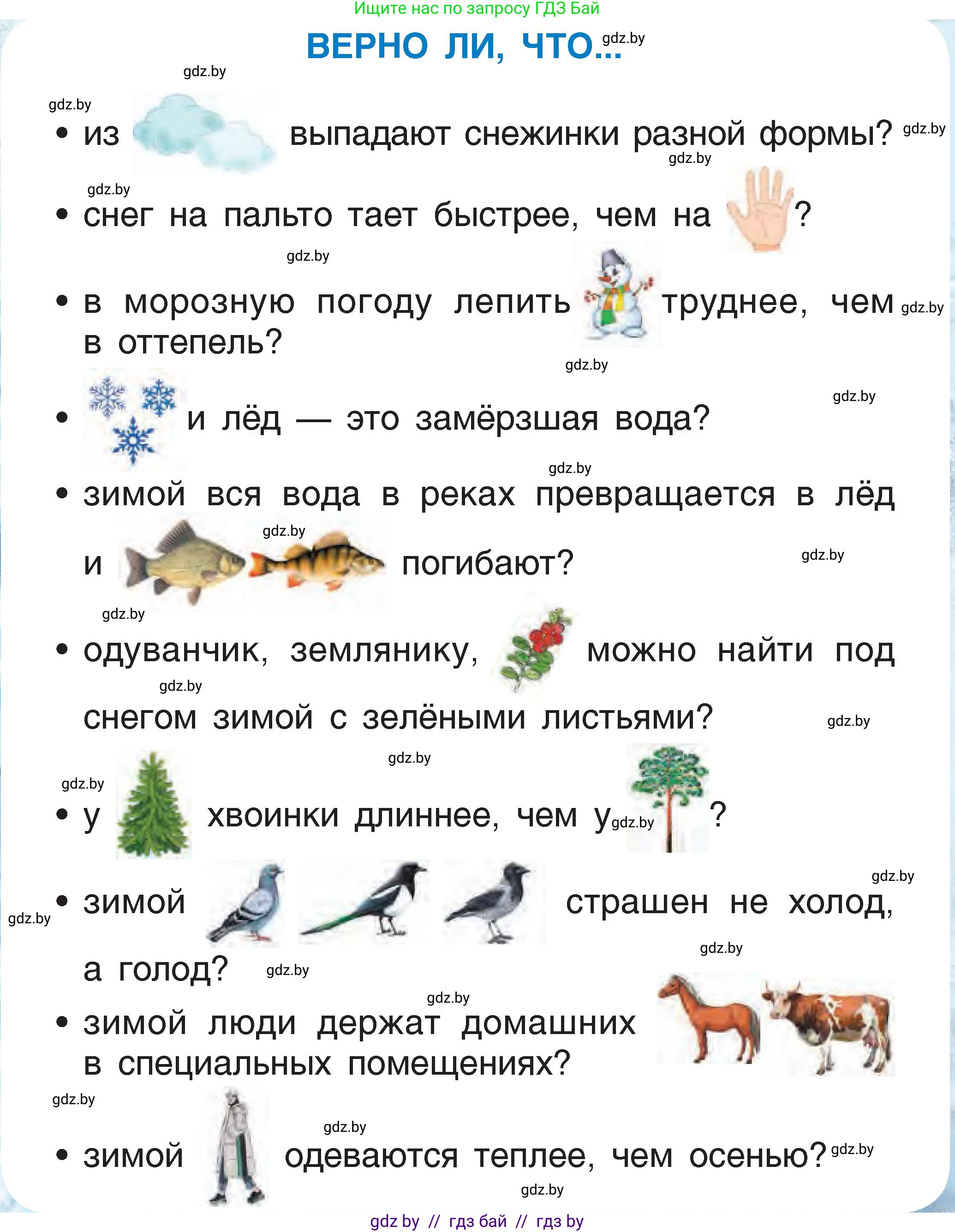 Человек и мир, 1 класс Учебник, авторы: Трафимова Галина Владимировна, Трафимов Сергей Анатольевич, издательство Национальный институт образования, Минск, 2023, салатового цвета, страница 48, Условие