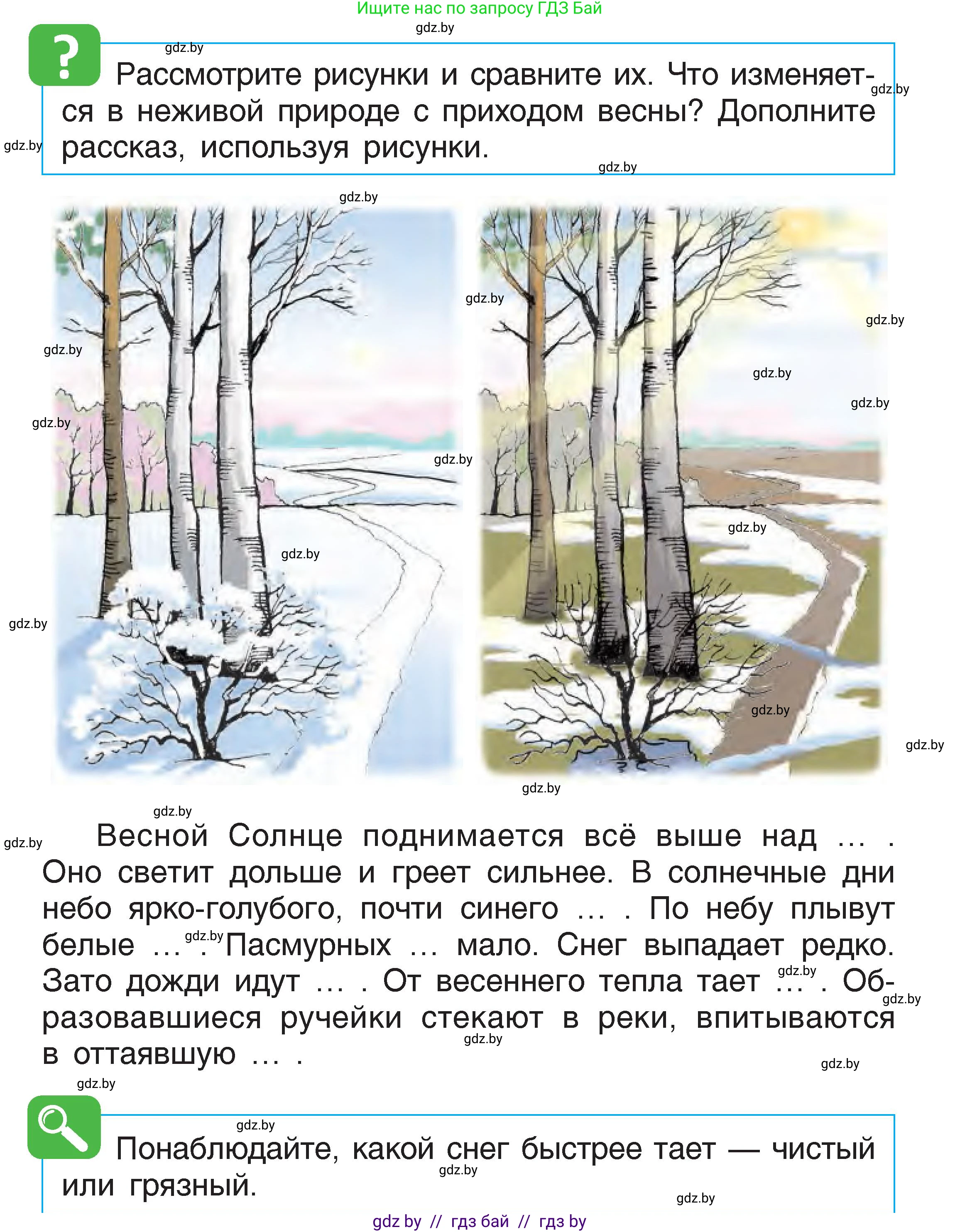 Человек и мир, 1 класс Учебник, авторы: Трафимова Галина Владимировна, Трафимов Сергей Анатольевич, издательство Национальный институт образования, Минск, 2023, салатового цвета, страница 58, Условие