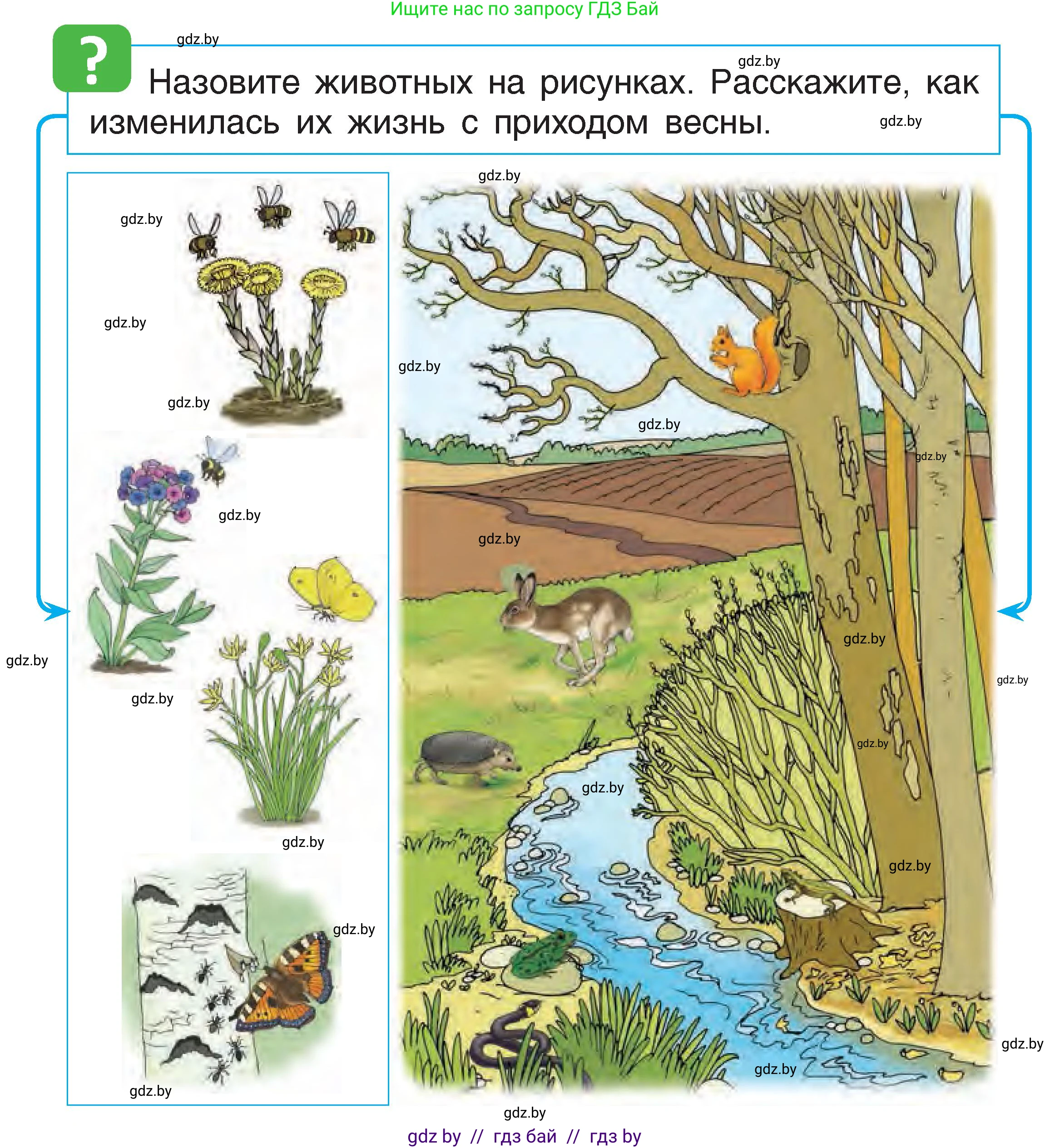Человек и мир, 1 класс Учебник, авторы: Трафимова Галина Владимировна, Трафимов Сергей Анатольевич, издательство Национальный институт образования, Минск, 2023, салатового цвета, страница 64, Условие