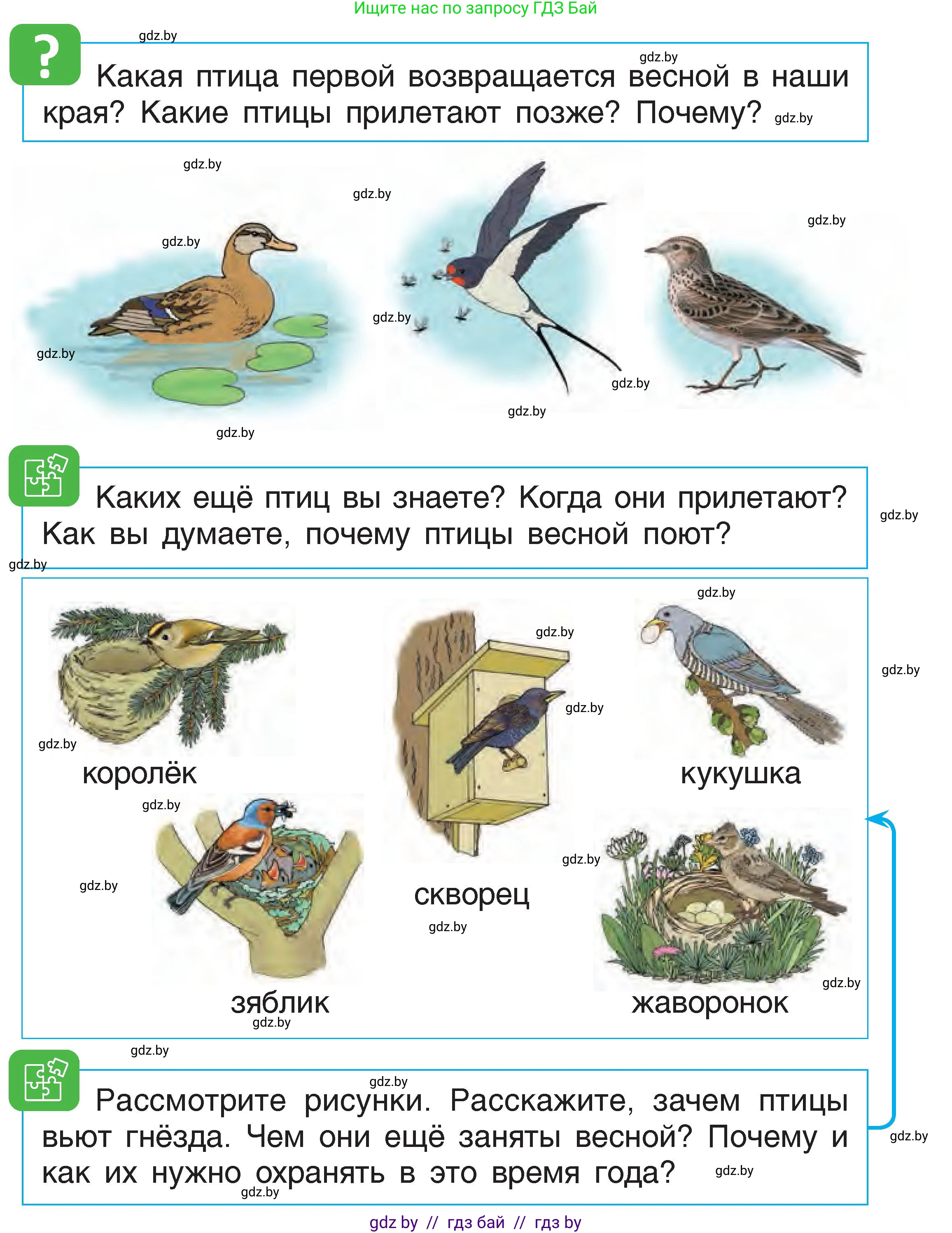 Человек и мир, 1 класс Учебник, авторы: Трафимова Галина Владимировна, Трафимов Сергей Анатольевич, издательство Национальный институт образования, Минск, 2023, салатового цвета, страница 65, Условие