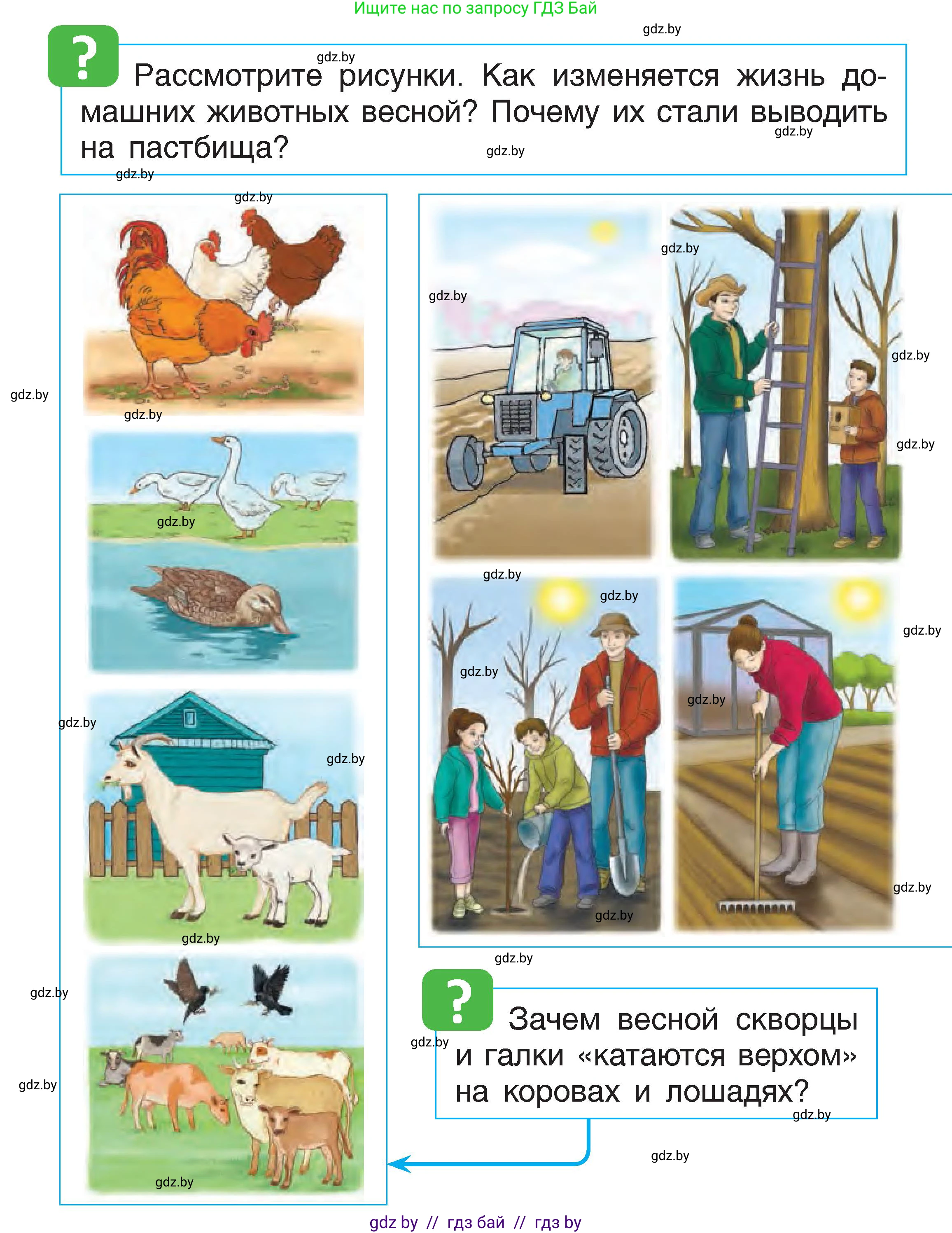 Человек и мир, 1 класс Учебник, авторы: Трафимова Галина Владимировна, Трафимов Сергей Анатольевич, издательство Национальный институт образования, Минск, 2023, салатового цвета, страница 66, Условие