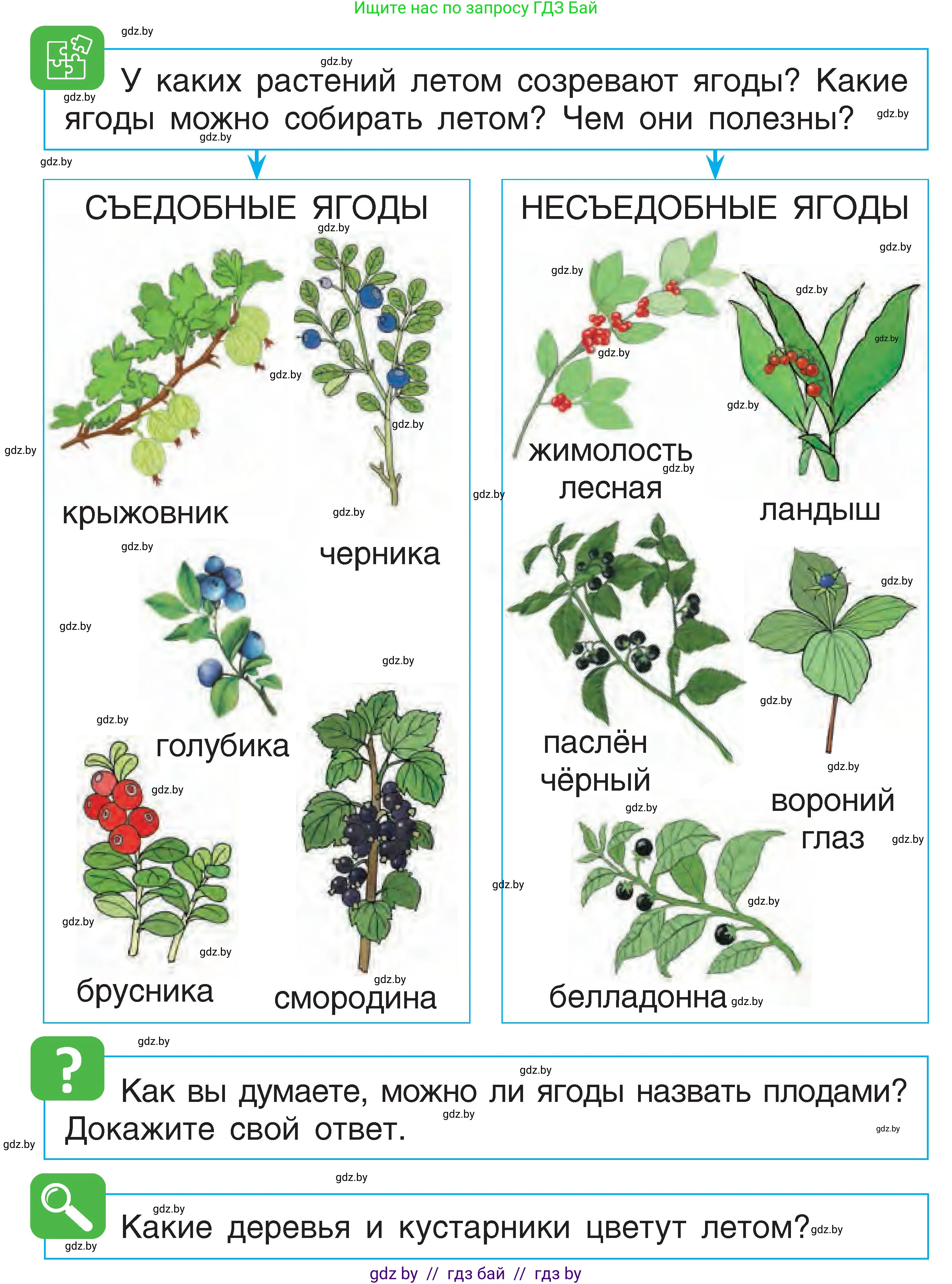 Человек и мир, 1 класс Учебник, авторы: Трафимова Галина Владимировна, Трафимов Сергей Анатольевич, издательство Национальный институт образования, Минск, 2023, салатового цвета, страница 73, Условие