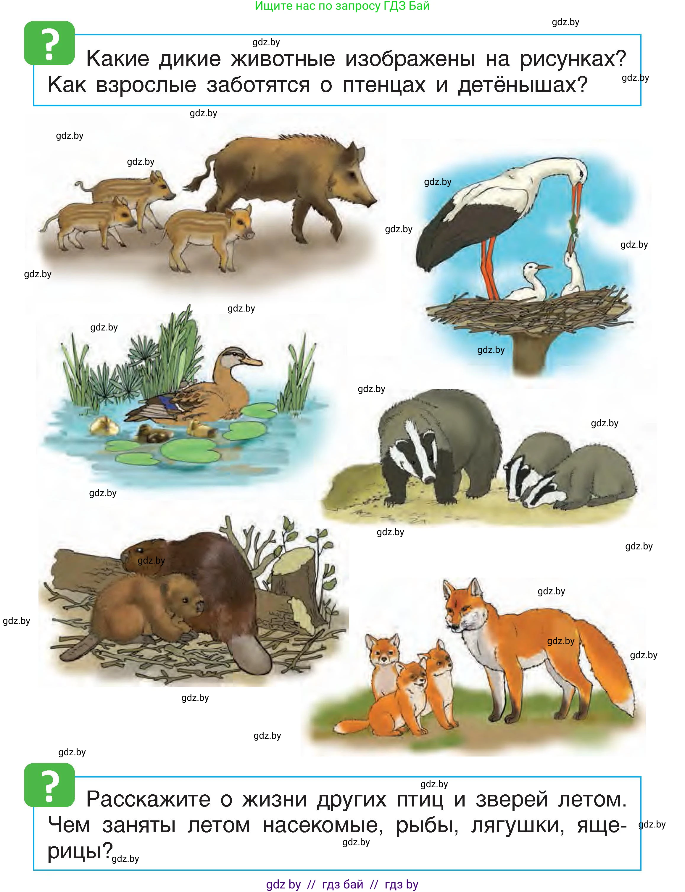 Человек и мир, 1 класс Учебник, авторы: Трафимова Галина Владимировна, Трафимов Сергей Анатольевич, издательство Национальный институт образования, Минск, 2023, салатового цвета, страница 74, Условие