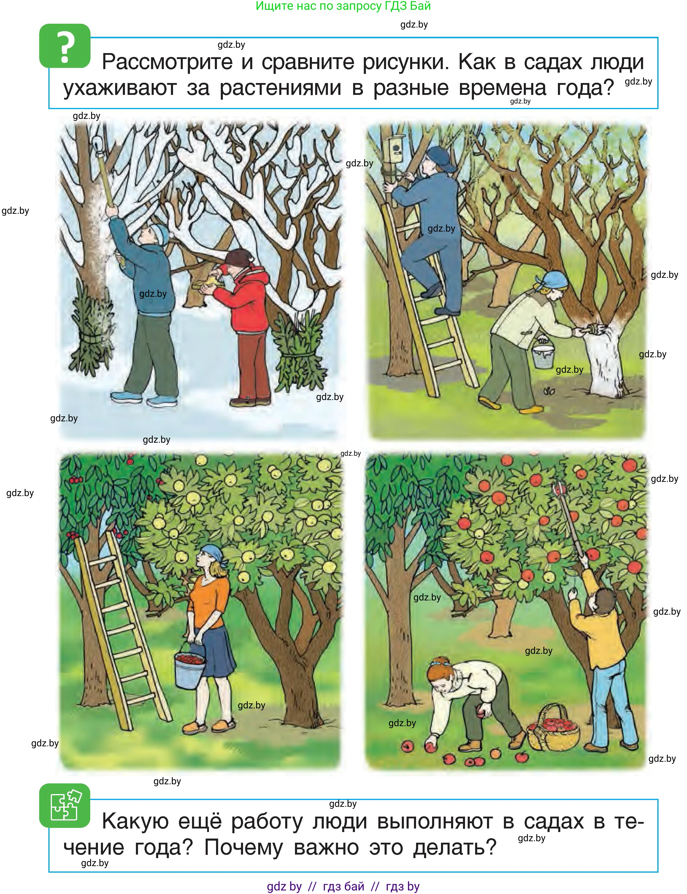 Человек и мир, 1 класс Учебник, авторы: Трафимова Галина Владимировна, Трафимов Сергей Анатольевич, издательство Национальный институт образования, Минск, 2023, салатового цвета, страница 78, Условие