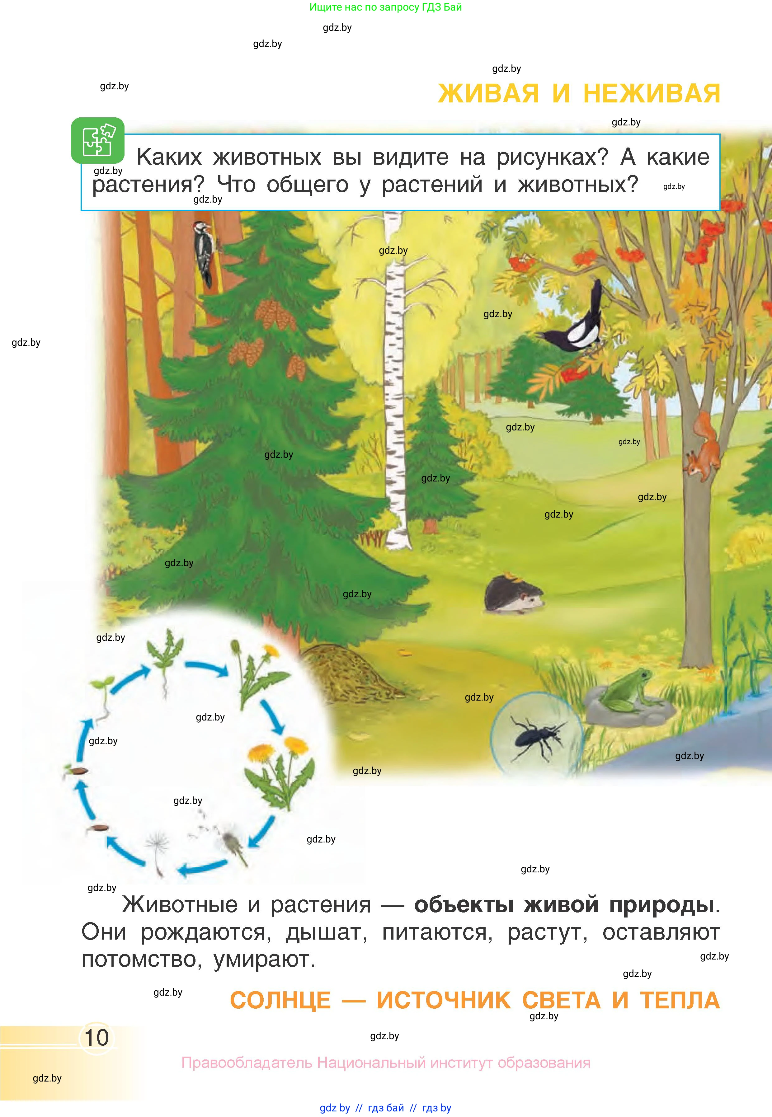 Человек и мир, 1 класс Учебник, авторы: Трафимова Галина Владимировна, Трафимов Сергей Анатольевич, издательство Национальный институт образования, Минск, 2023, салатового цвета, страница 10