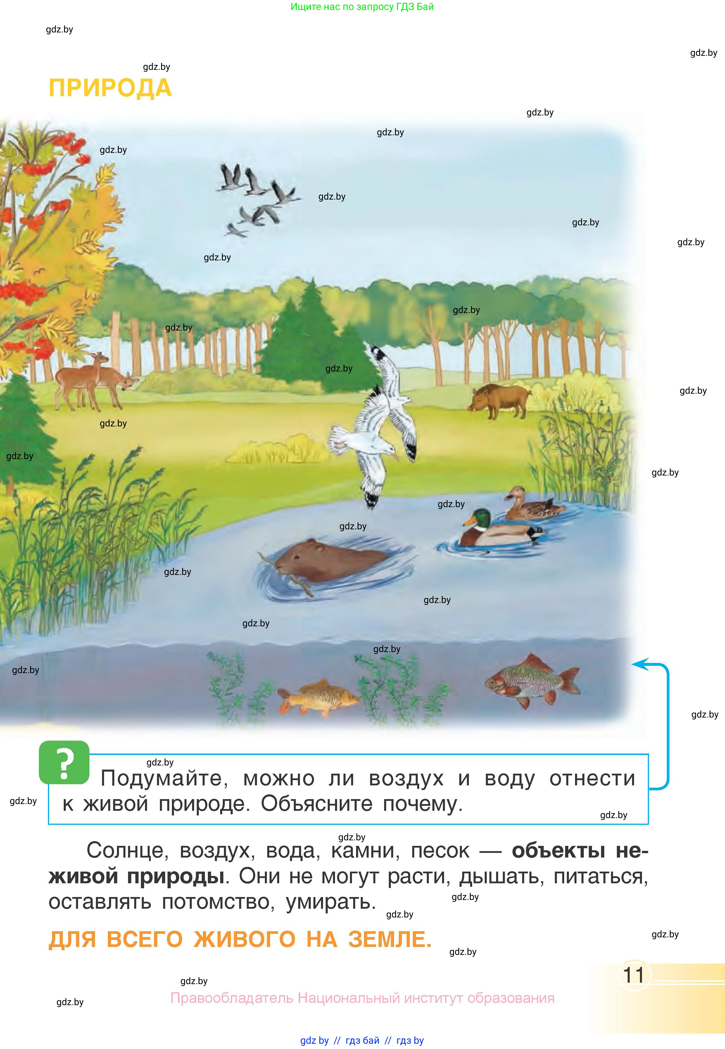 Человек и мир, 1 класс Учебник, авторы: Трафимова Галина Владимировна, Трафимов Сергей Анатольевич, издательство Национальный институт образования, Минск, 2023, салатового цвета, страница 11