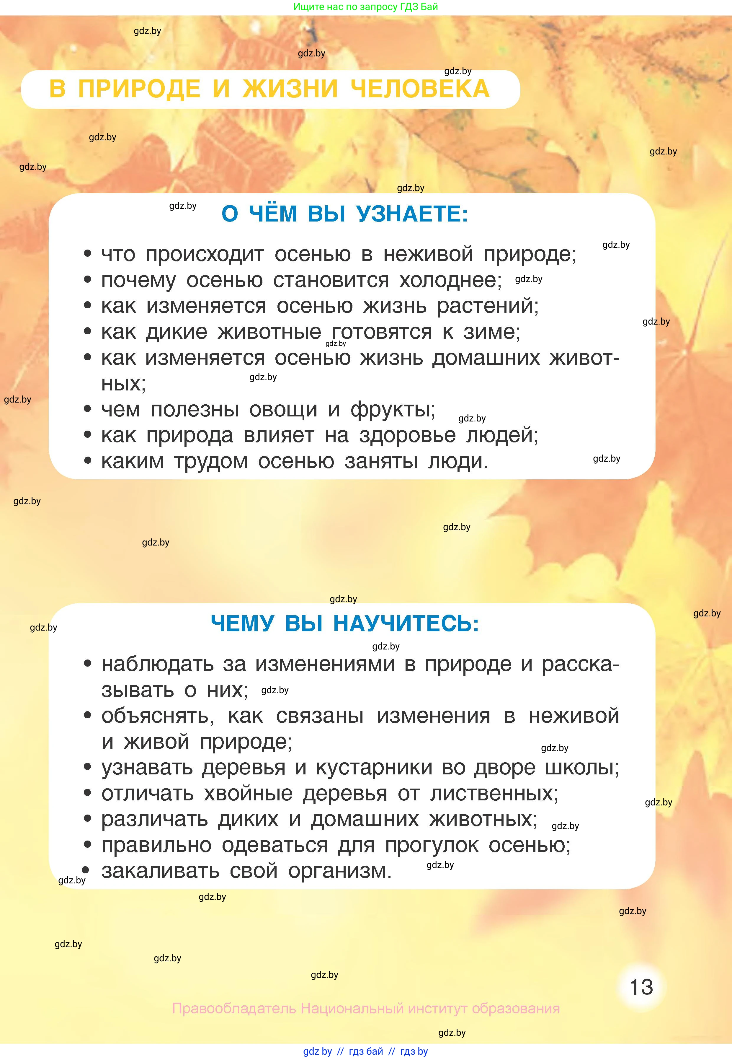 Человек и мир, 1 класс Учебник, авторы: Трафимова Галина Владимировна, Трафимов Сергей Анатольевич, издательство Национальный институт образования, Минск, 2023, салатового цвета, страница 13