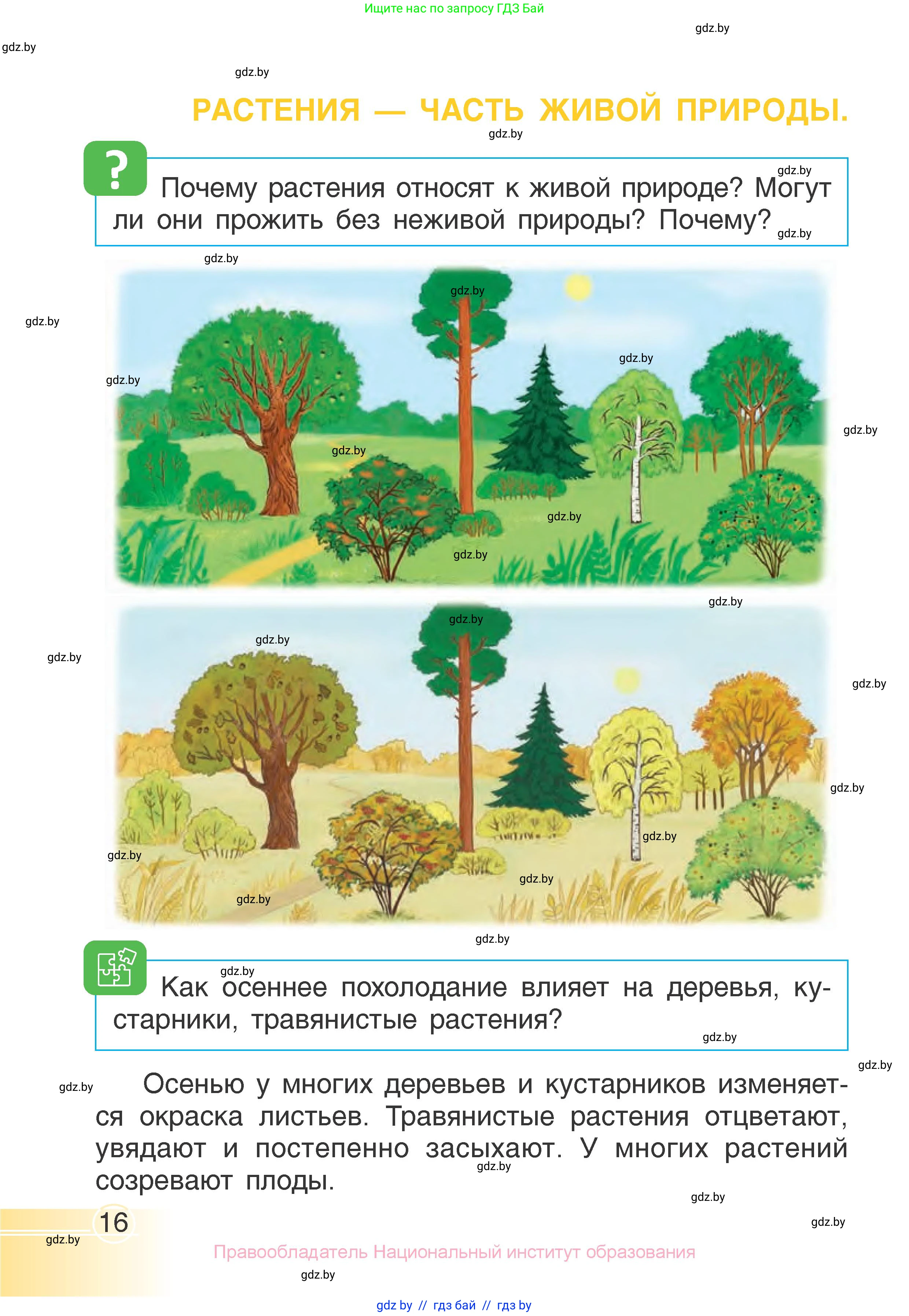 Человек и мир, 1 класс Учебник, авторы: Трафимова Галина Владимировна, Трафимов Сергей Анатольевич, издательство Национальный институт образования, Минск, 2023, салатового цвета, страница 16