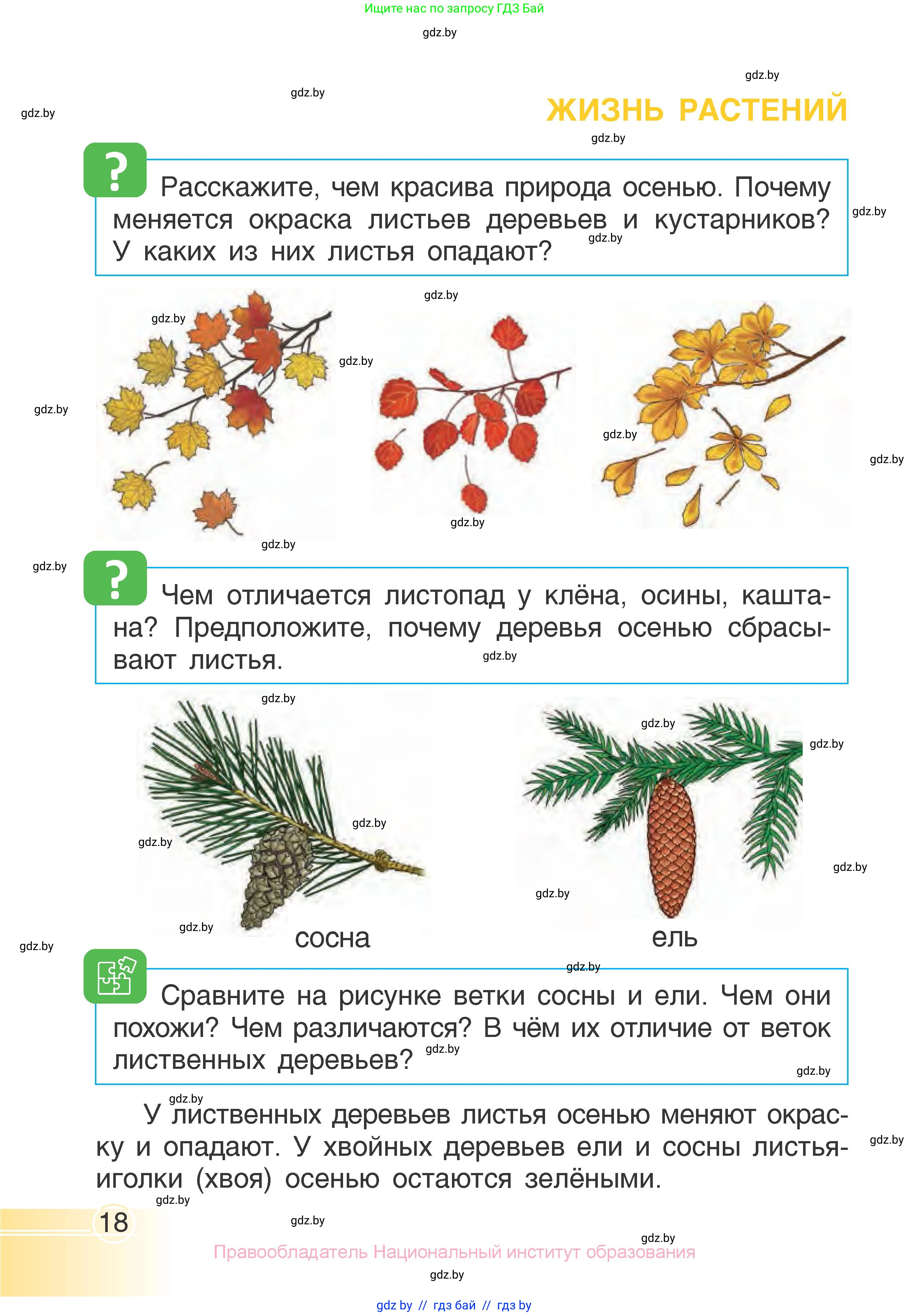 Человек и мир, 1 класс Учебник, авторы: Трафимова Галина Владимировна, Трафимов Сергей Анатольевич, издательство Национальный институт образования, Минск, 2023, салатового цвета, страница 18