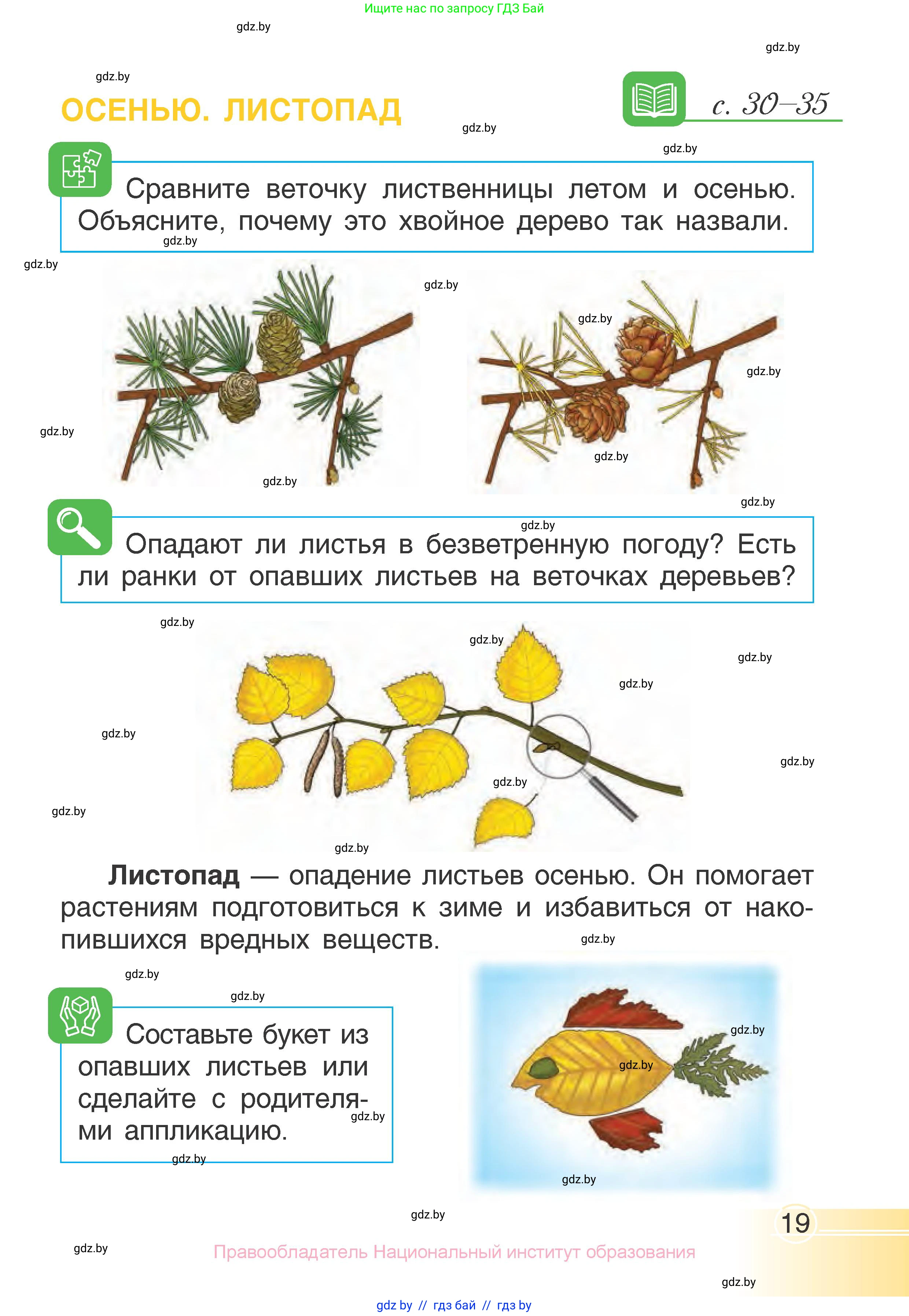 Человек и мир, 1 класс Учебник, авторы: Трафимова Галина Владимировна, Трафимов Сергей Анатольевич, издательство Национальный институт образования, Минск, 2023, салатового цвета, страница 19