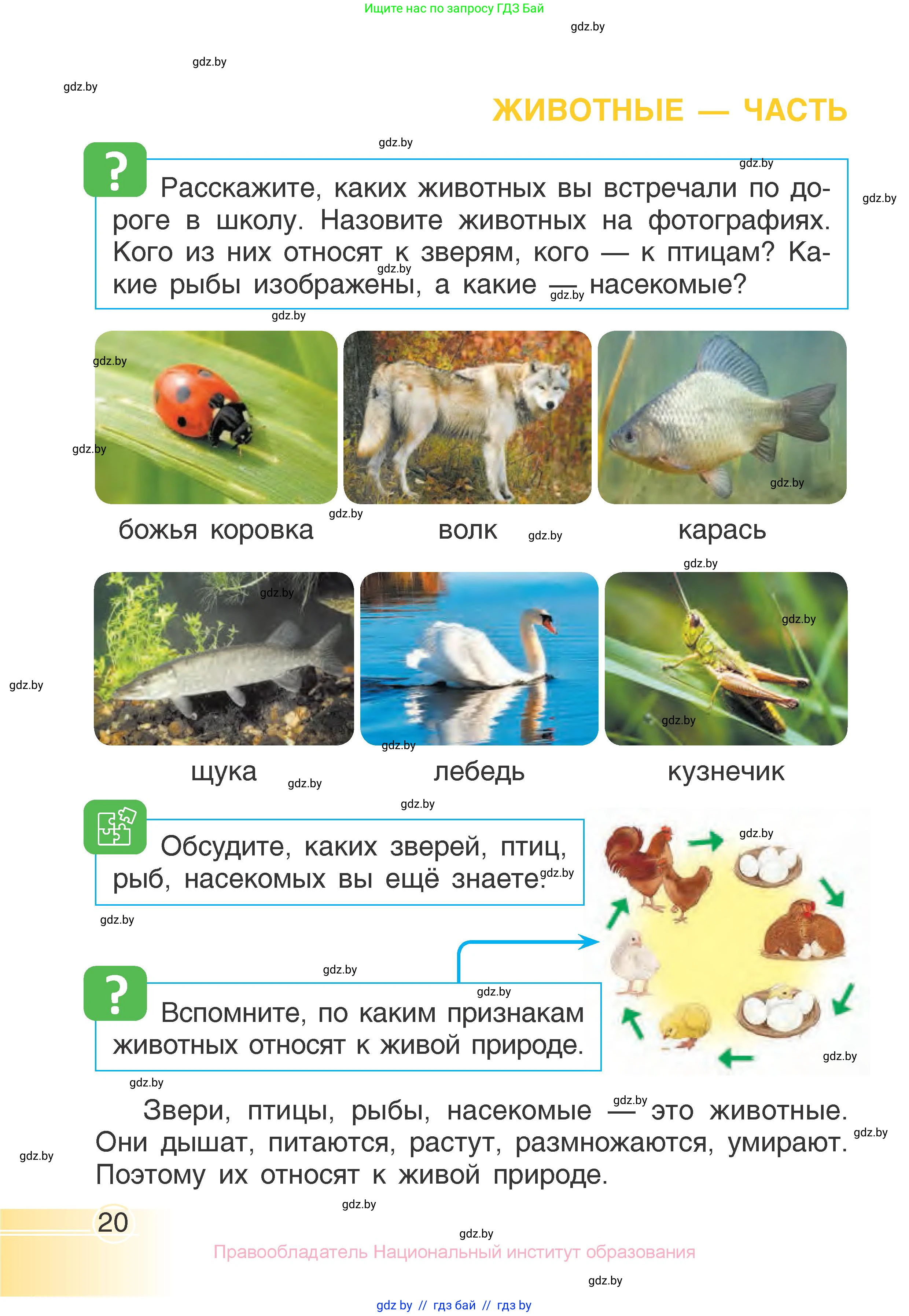 Человек и мир, 1 класс Учебник, авторы: Трафимова Галина Владимировна, Трафимов Сергей Анатольевич, издательство Национальный институт образования, Минск, 2023, салатового цвета, страница 20